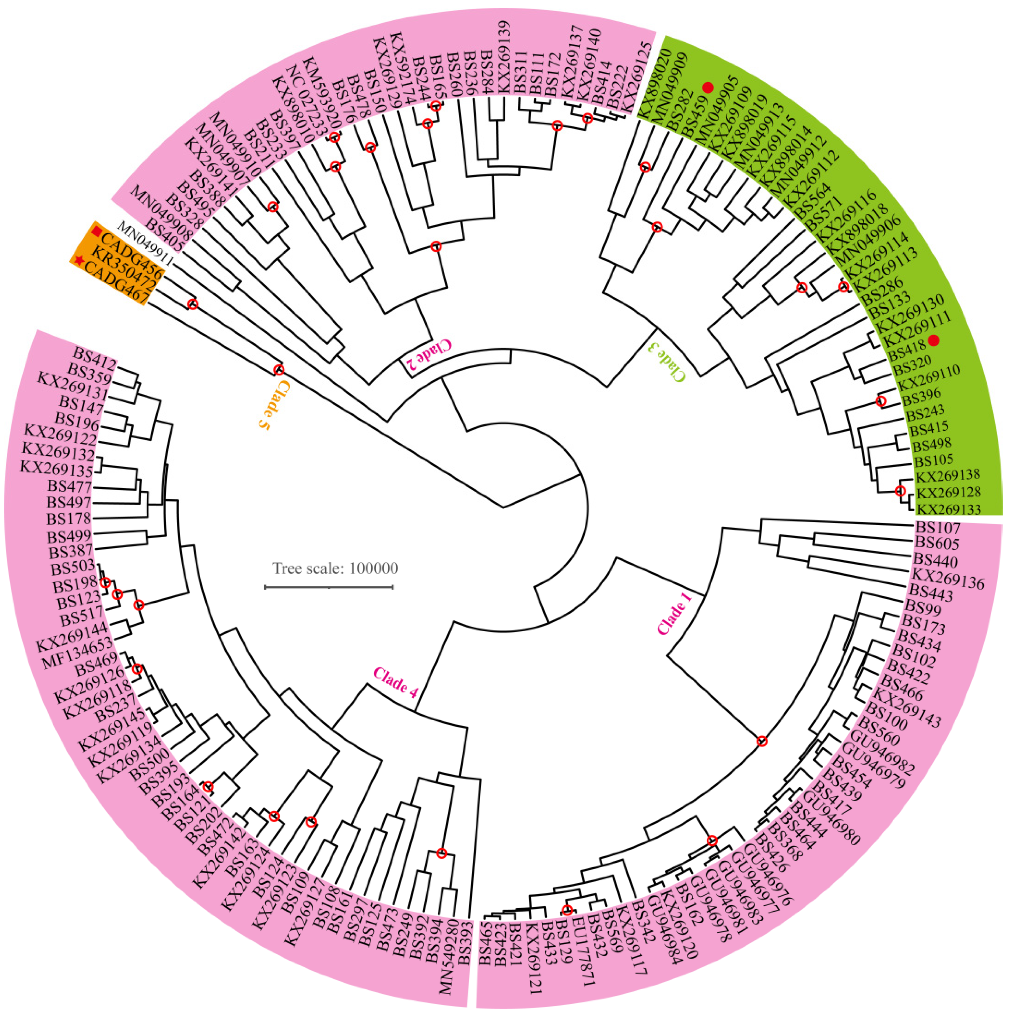 Genes 13 01684 g003 Genes 13 01684 g003