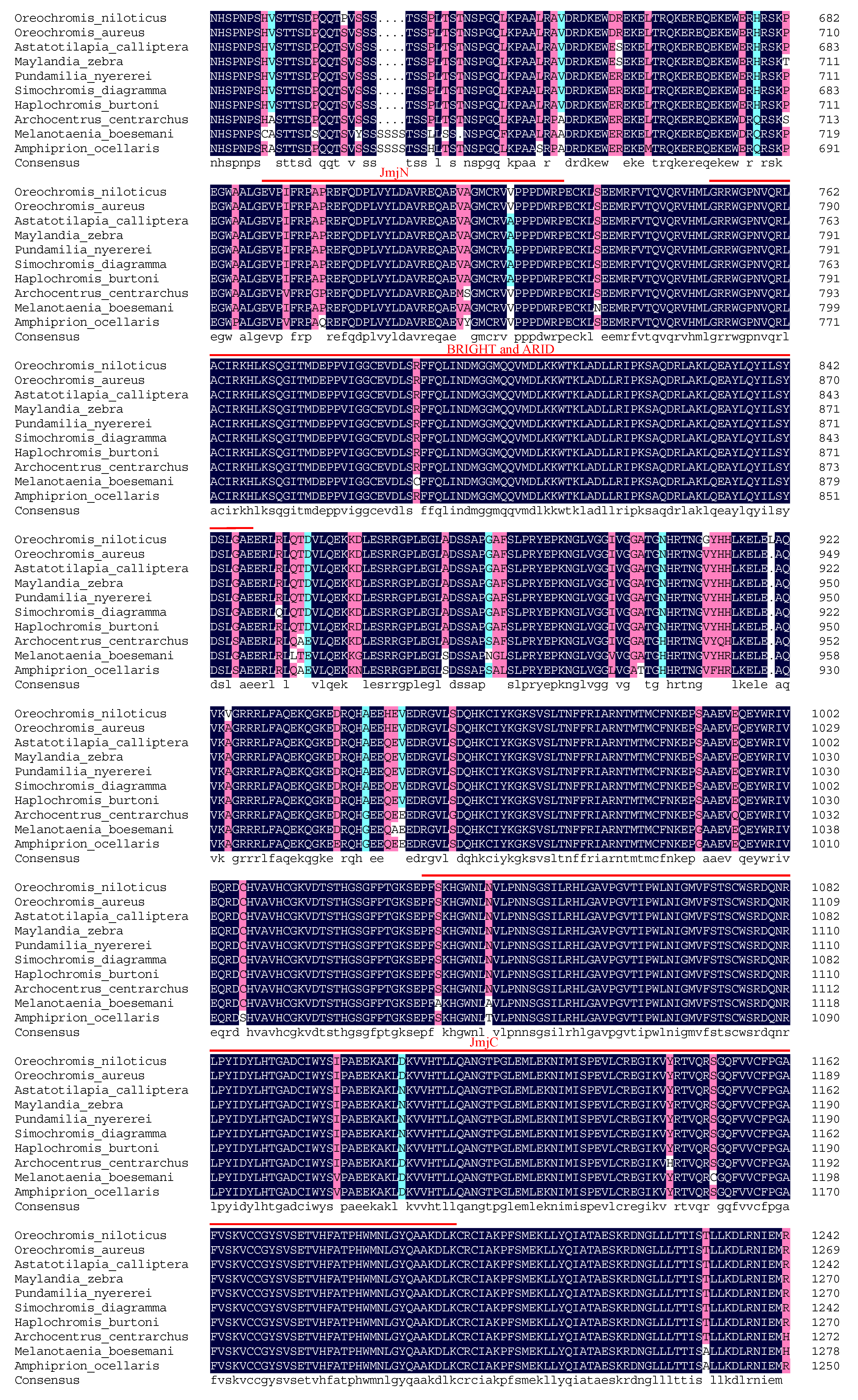 Genes 13 01719 g002b Genes 13 01719 g002b