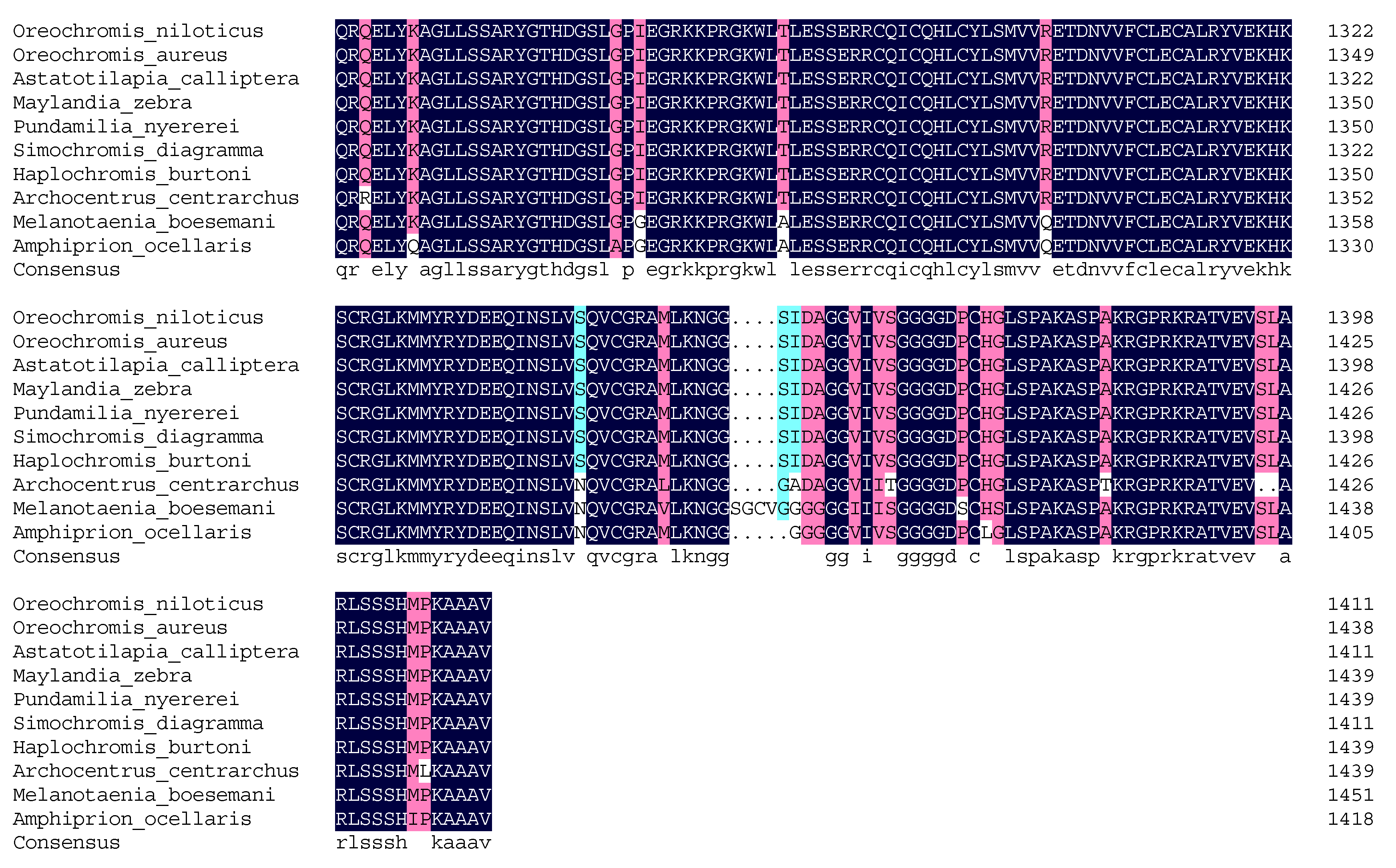 Genes 13 01719 g002c Genes 13 01719 g002c