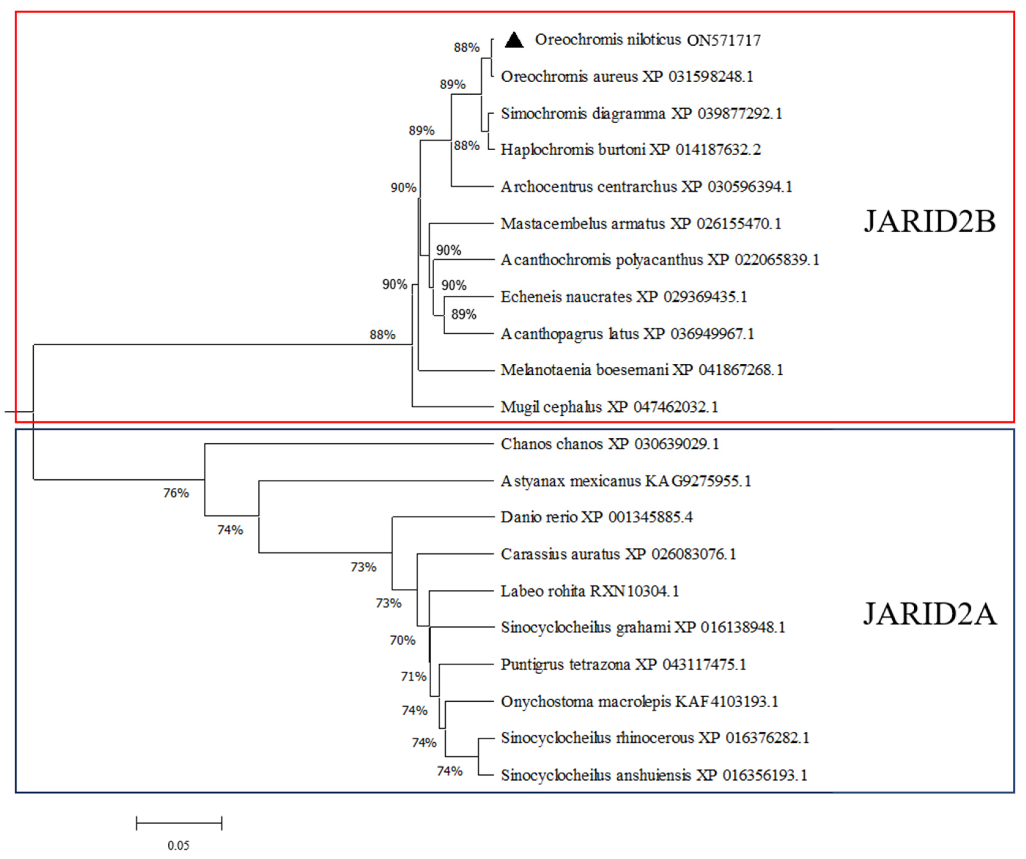 Genes 13 01719 g003 Genes 13 01719 g003