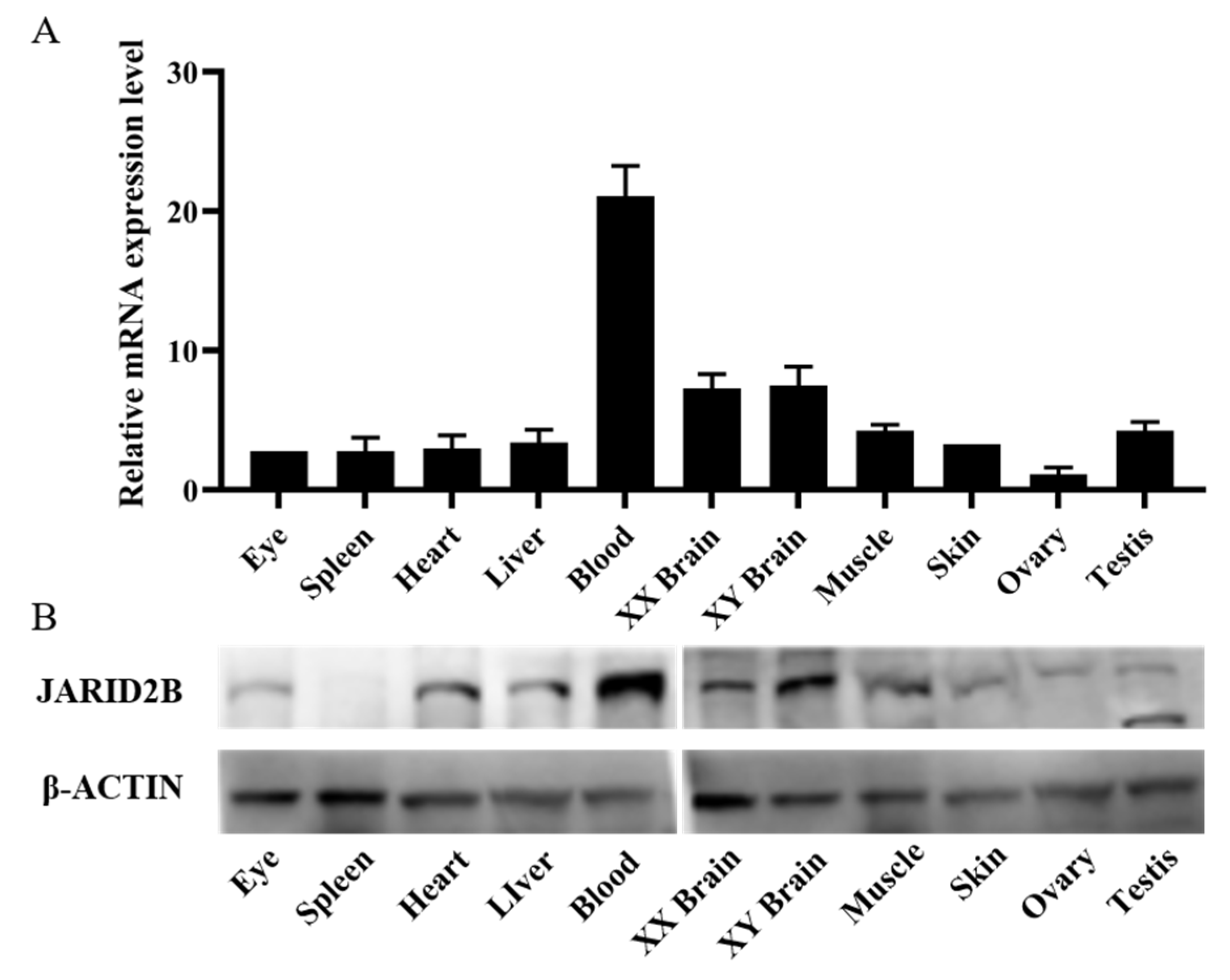 Genes 13 01719 g004 Genes 13 01719 g004