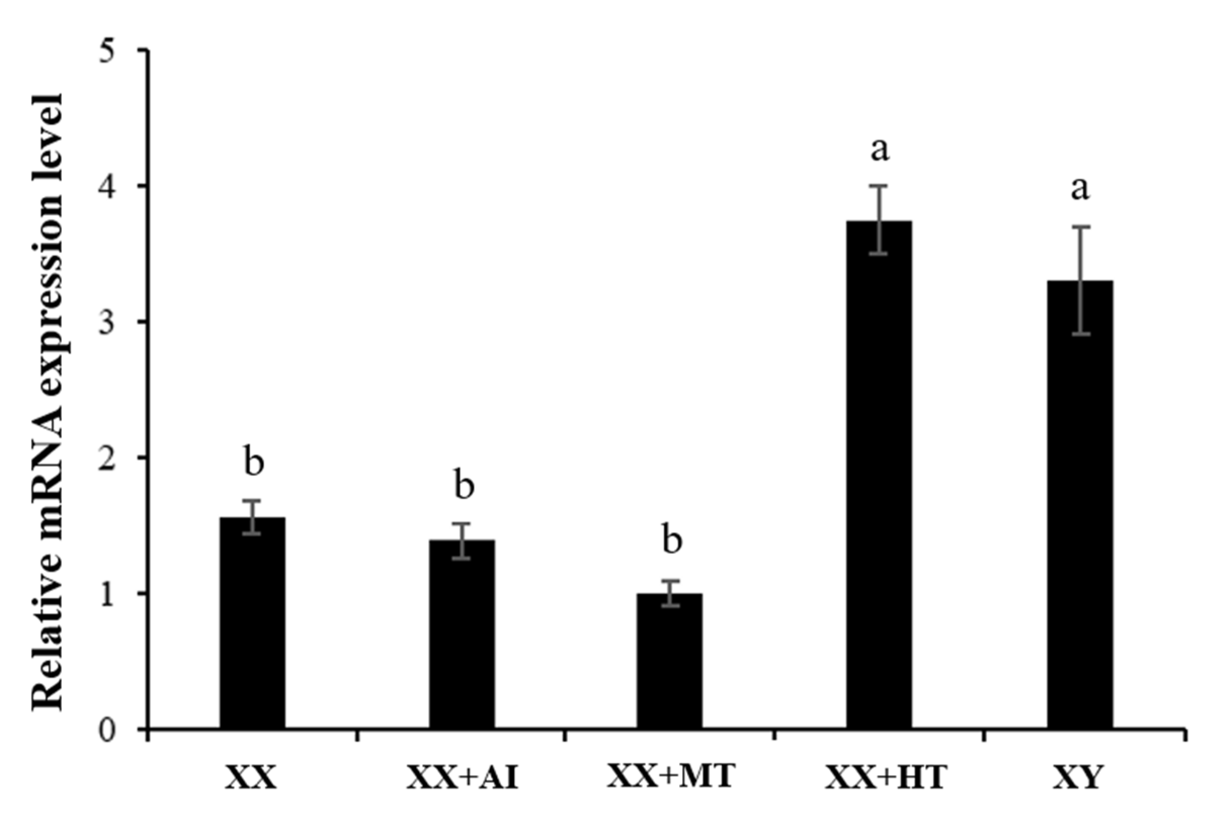 Genes 13 01719 g006 Genes 13 01719 g006