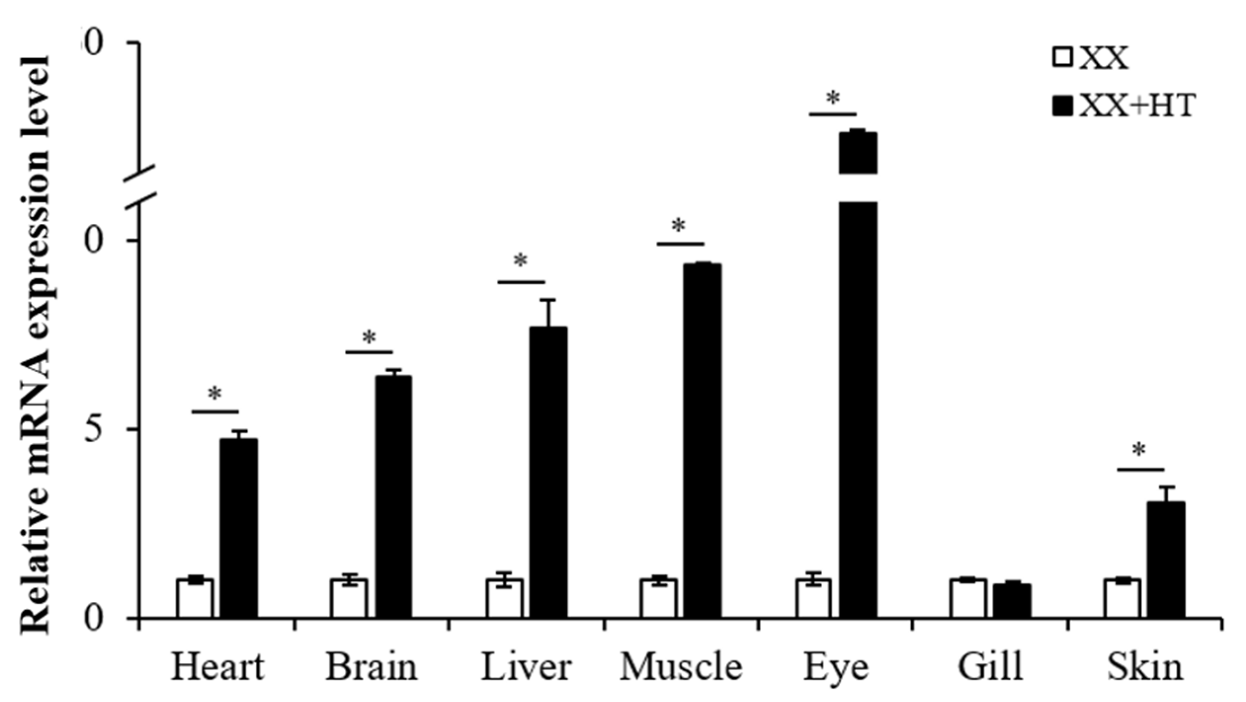 Genes 13 01719 g007 Genes 13 01719 g007