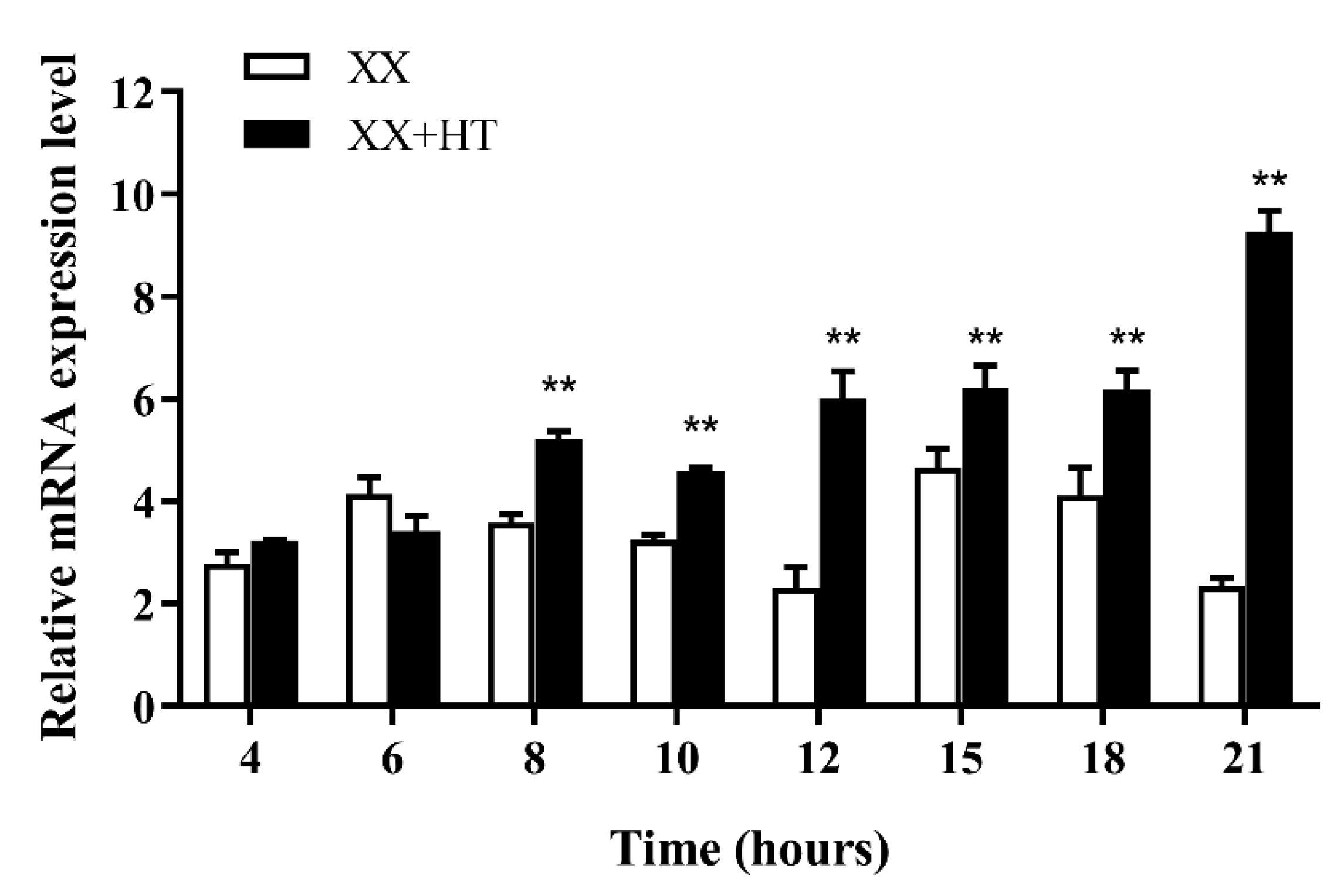 Genes 13 01719 g008 Genes 13 01719 g008