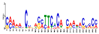 Genes 13 01732 i008