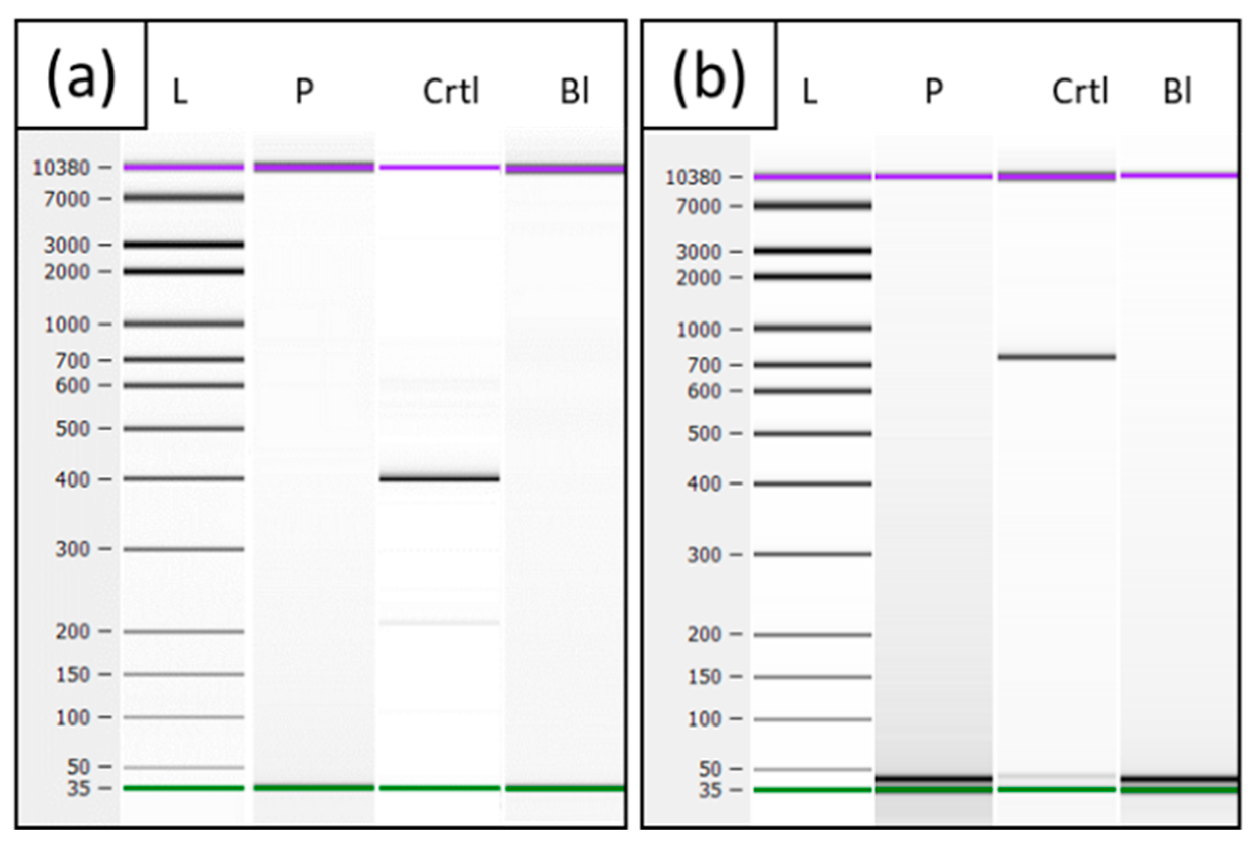 Genes 13 01752 g005 Genes 13 01752 g005