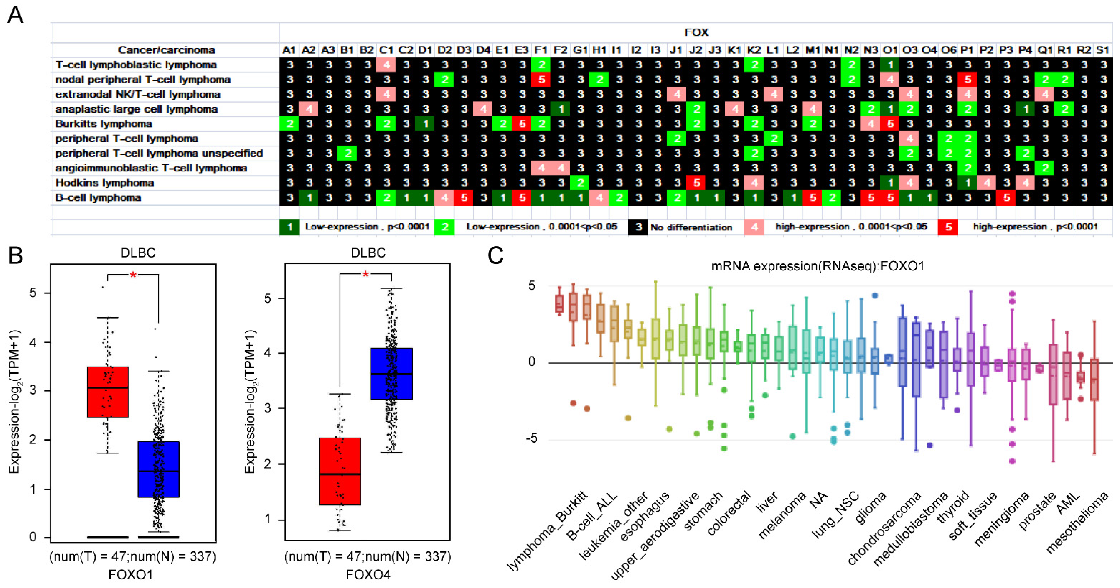 Genes 13 01754 g002
