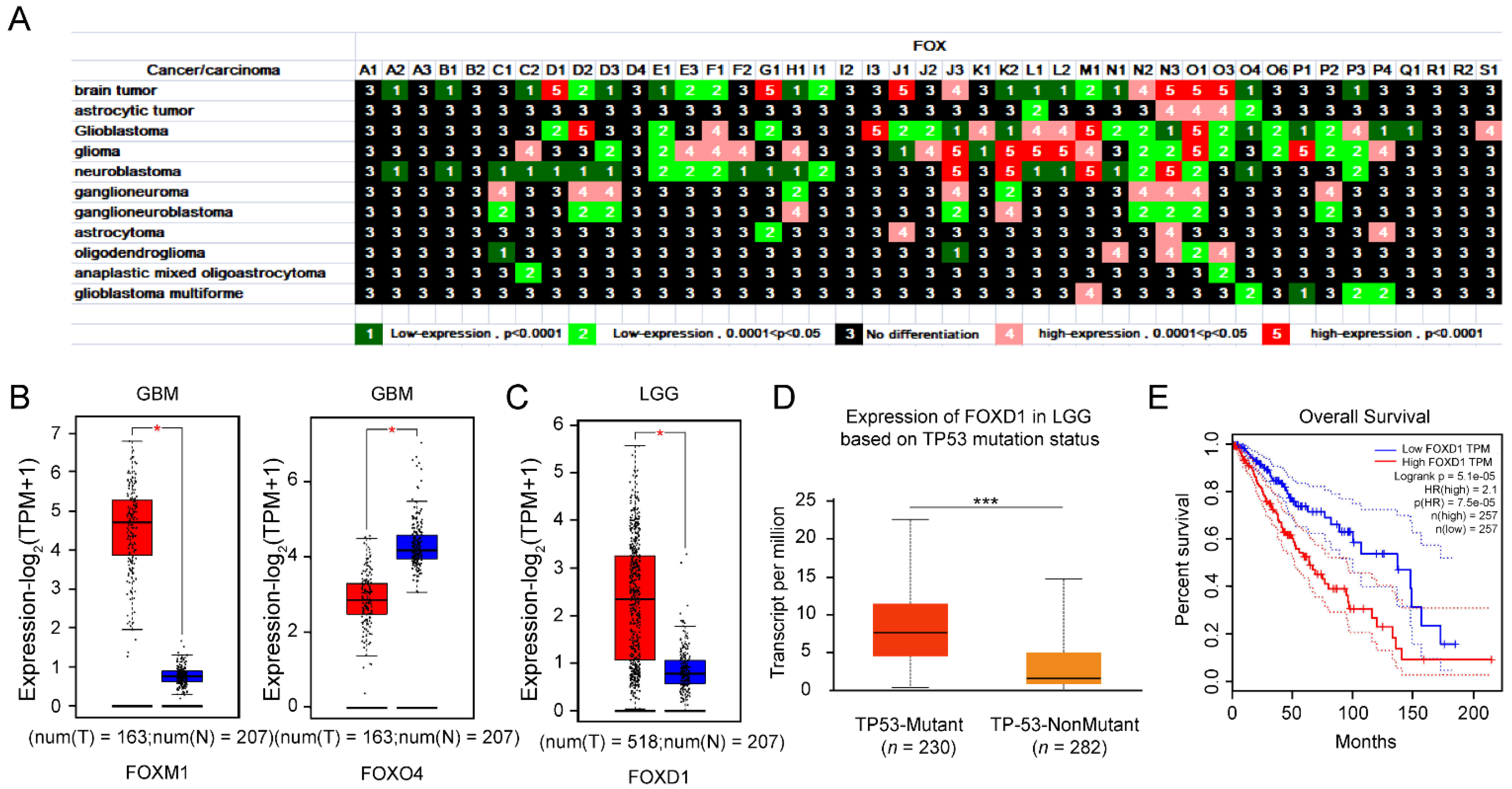 Genes 13 01754 g003