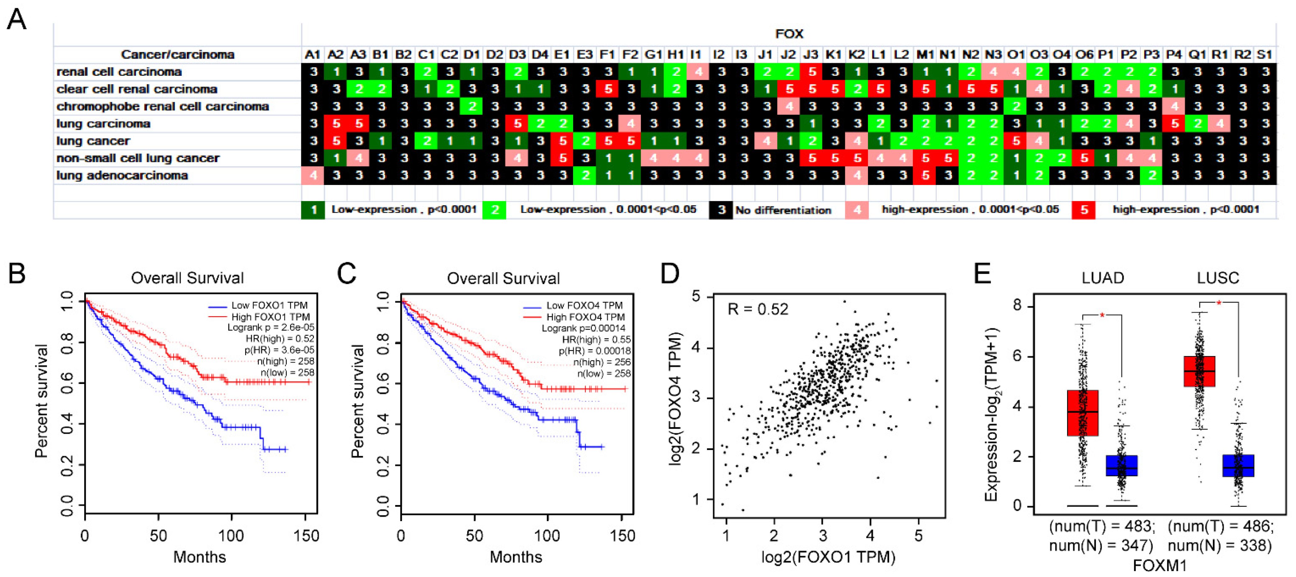 Genes 13 01754 g006