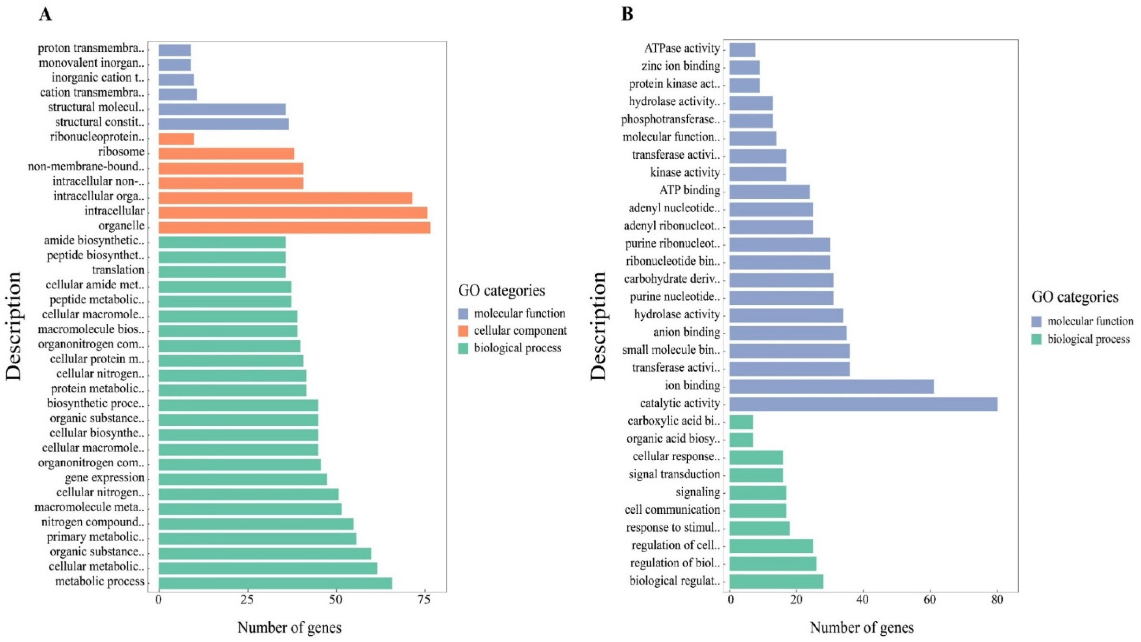 Genes 13 01771 g002 Genes 13 01771 g002