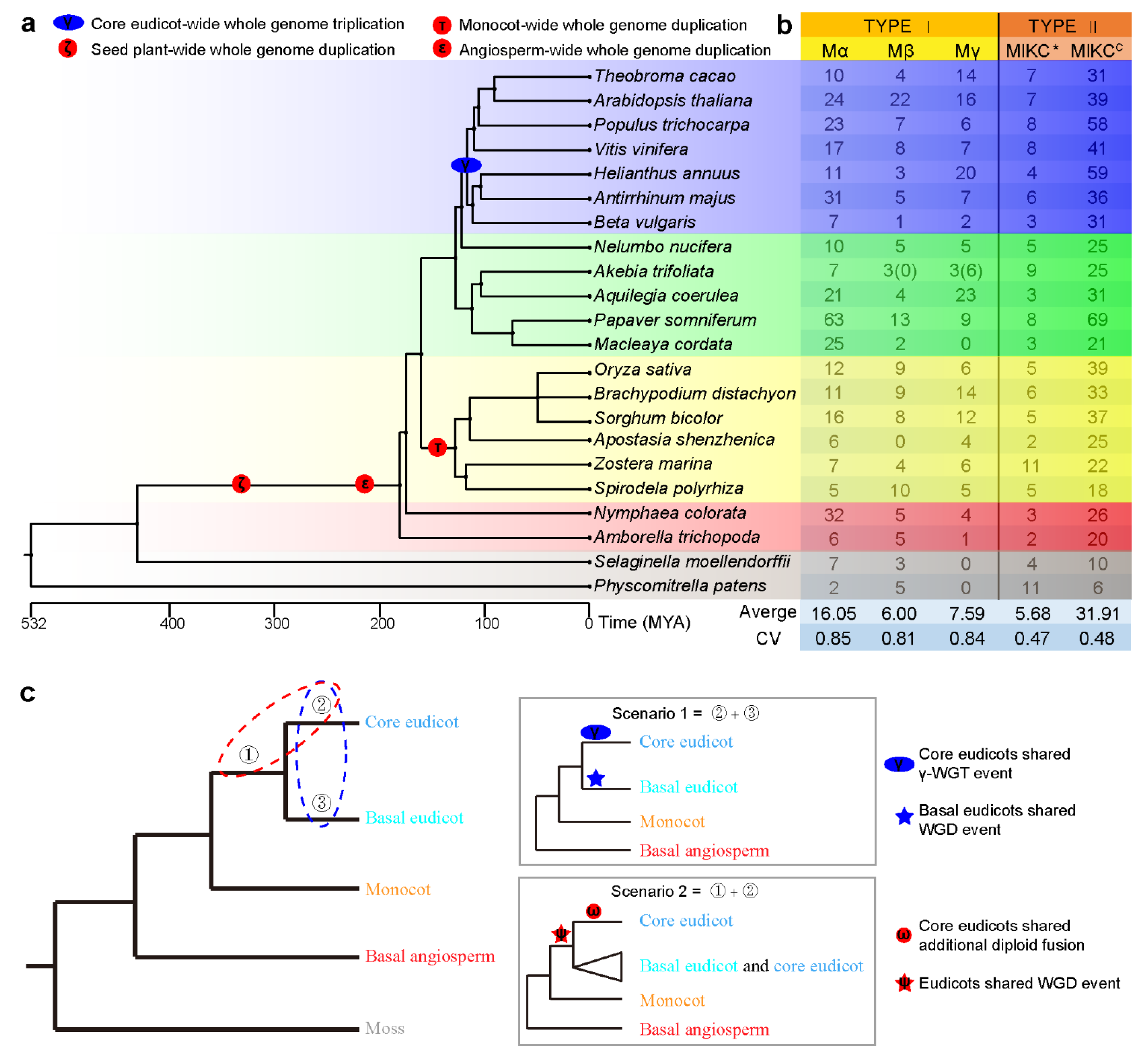 Genes 13 01777 g004 Genes 13 01777 g004