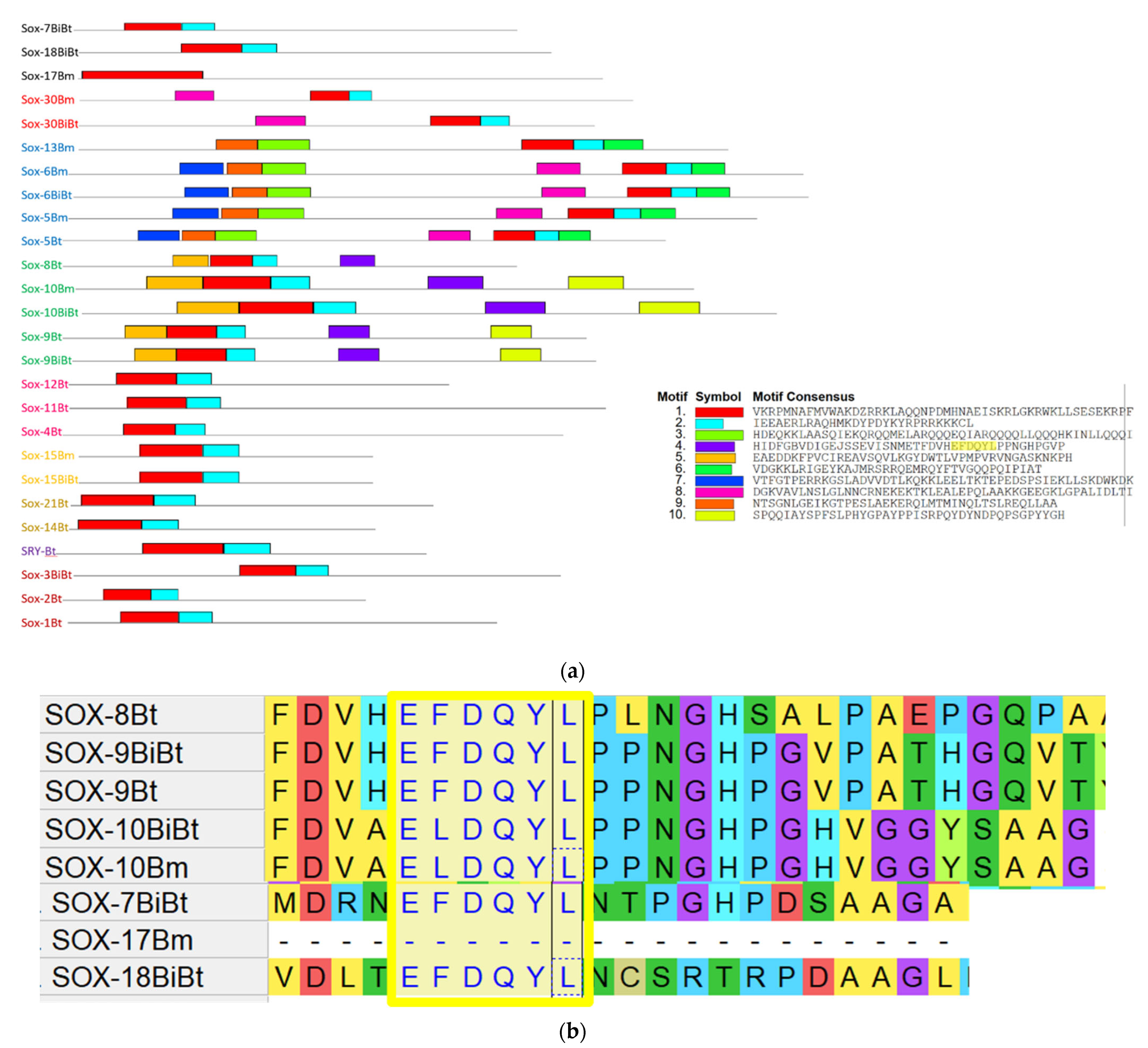 Genes 13 01783 g006
