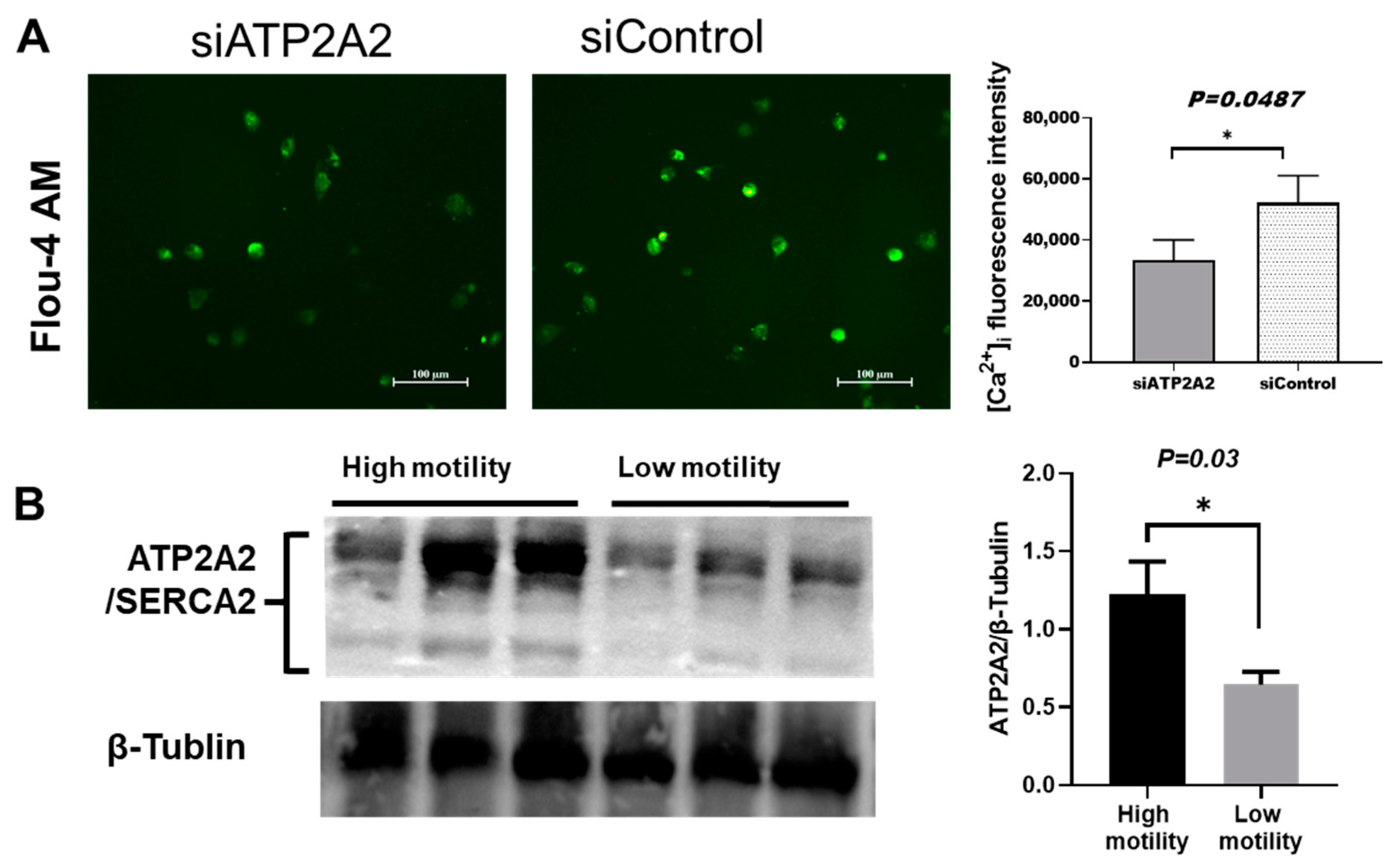 Genes 13 01788 g004 Genes 13 01788 g004