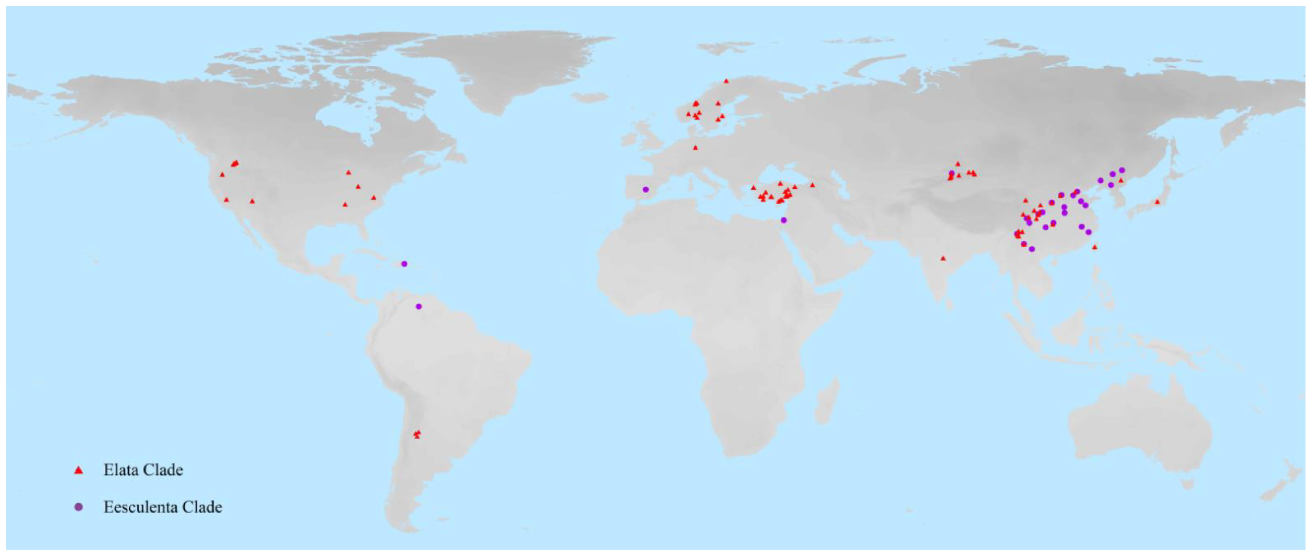 Genes 13 01806 g001 Genes 13 01806 g001