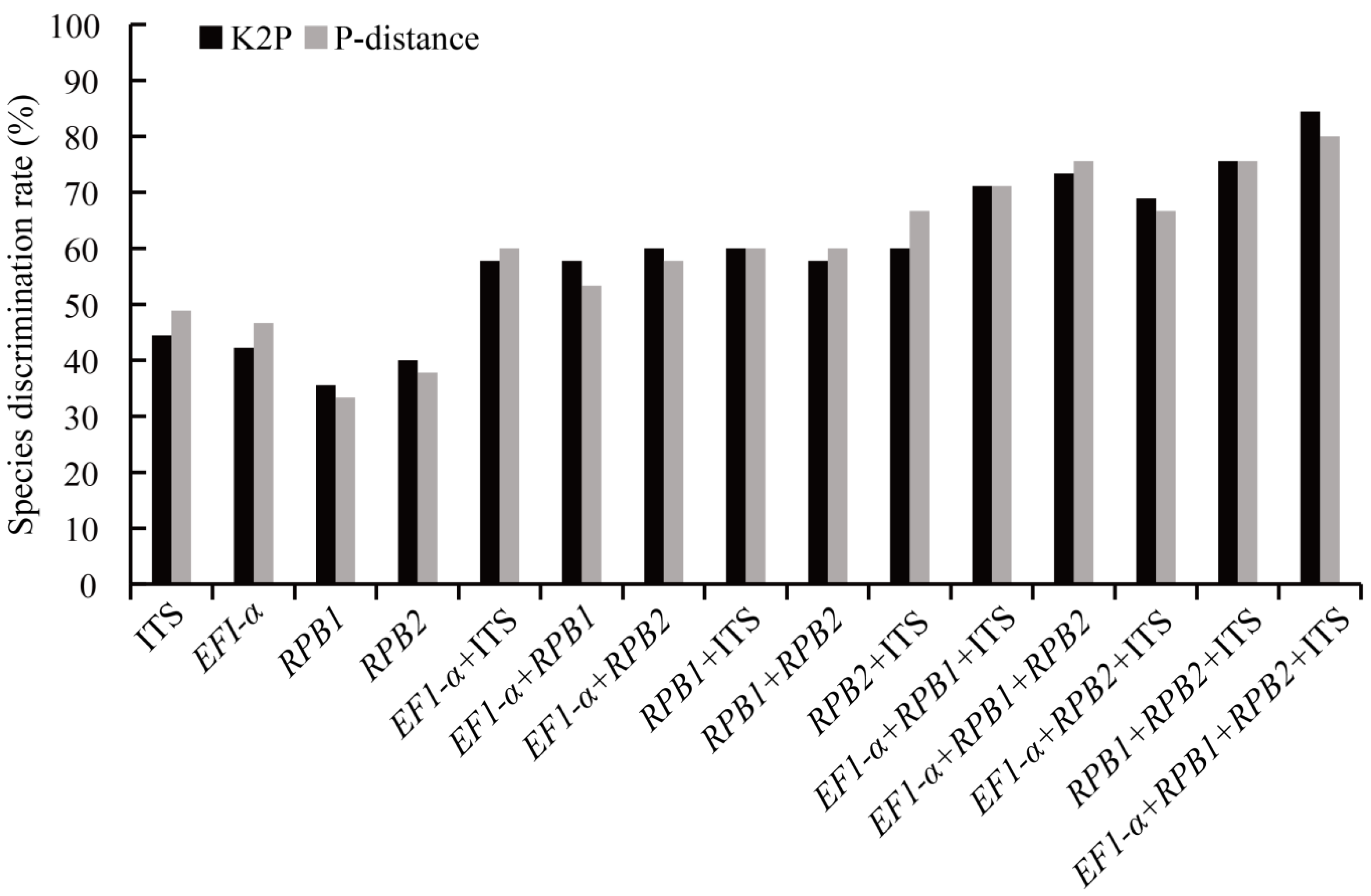 Genes 13 01806 g004 Genes 13 01806 g004