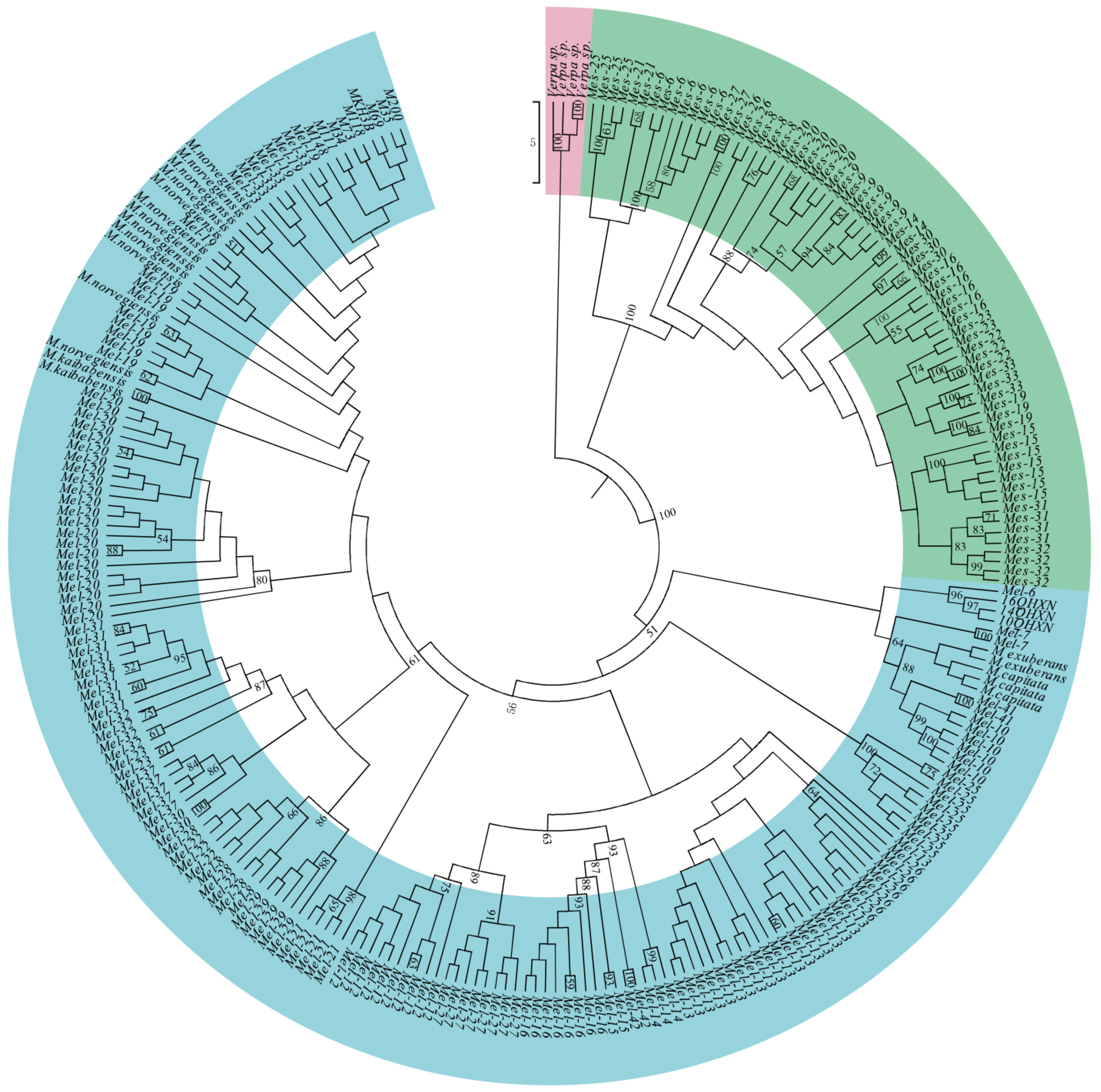 Genes 13 01806 g005 Genes 13 01806 g005