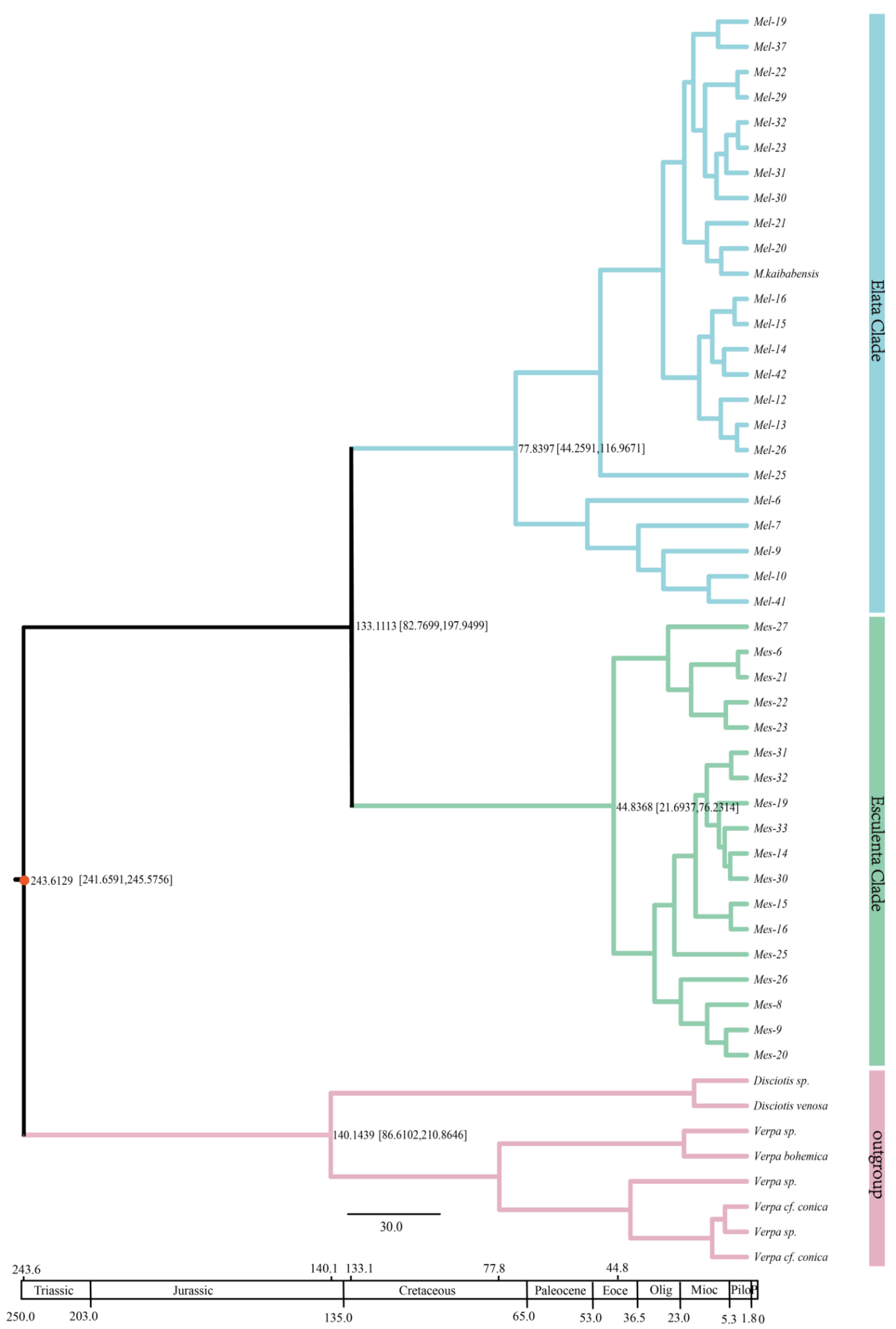 Genes 13 01806 g006 Genes 13 01806 g006