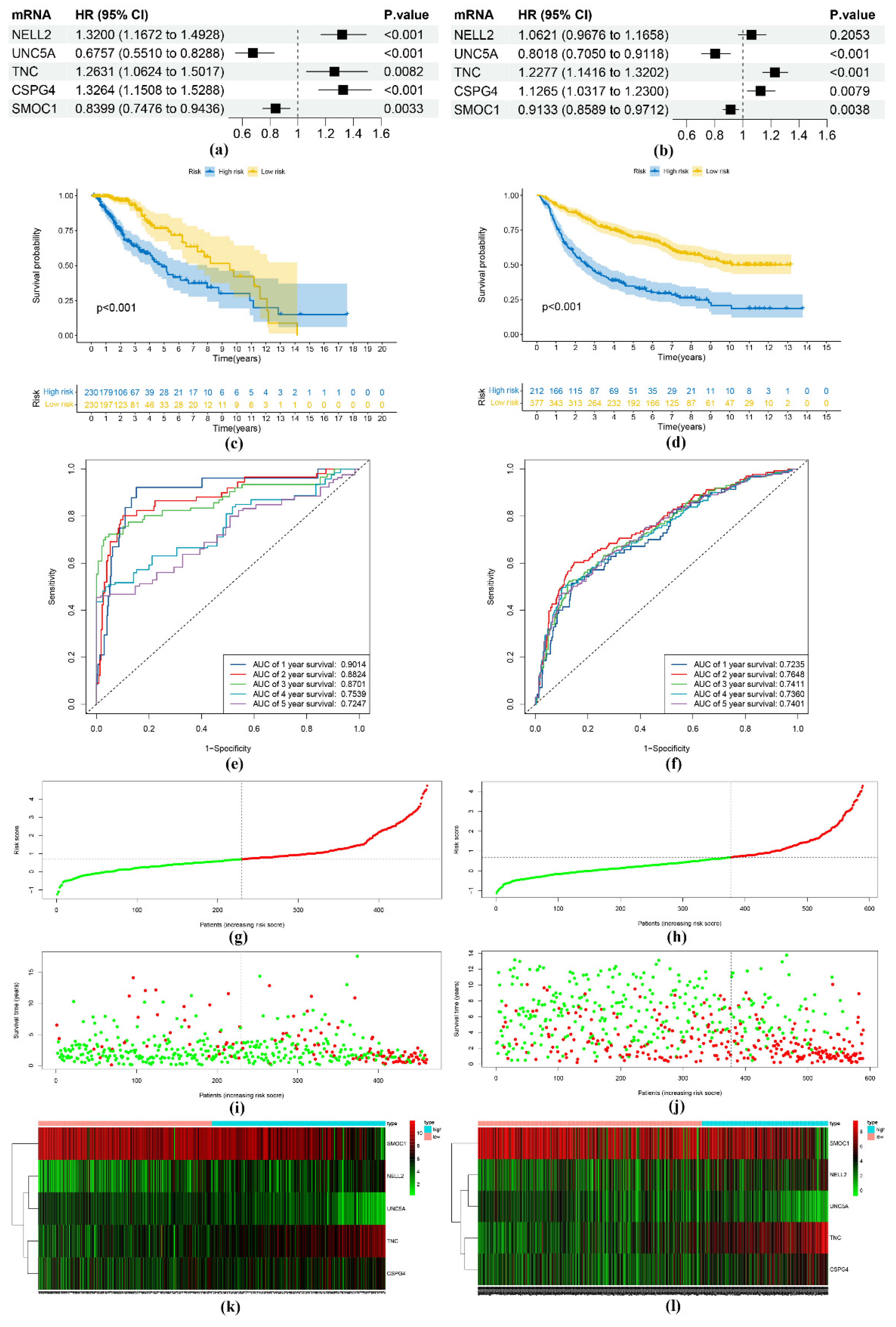 Genes 13 01810 g003 Genes 13 01810 g003