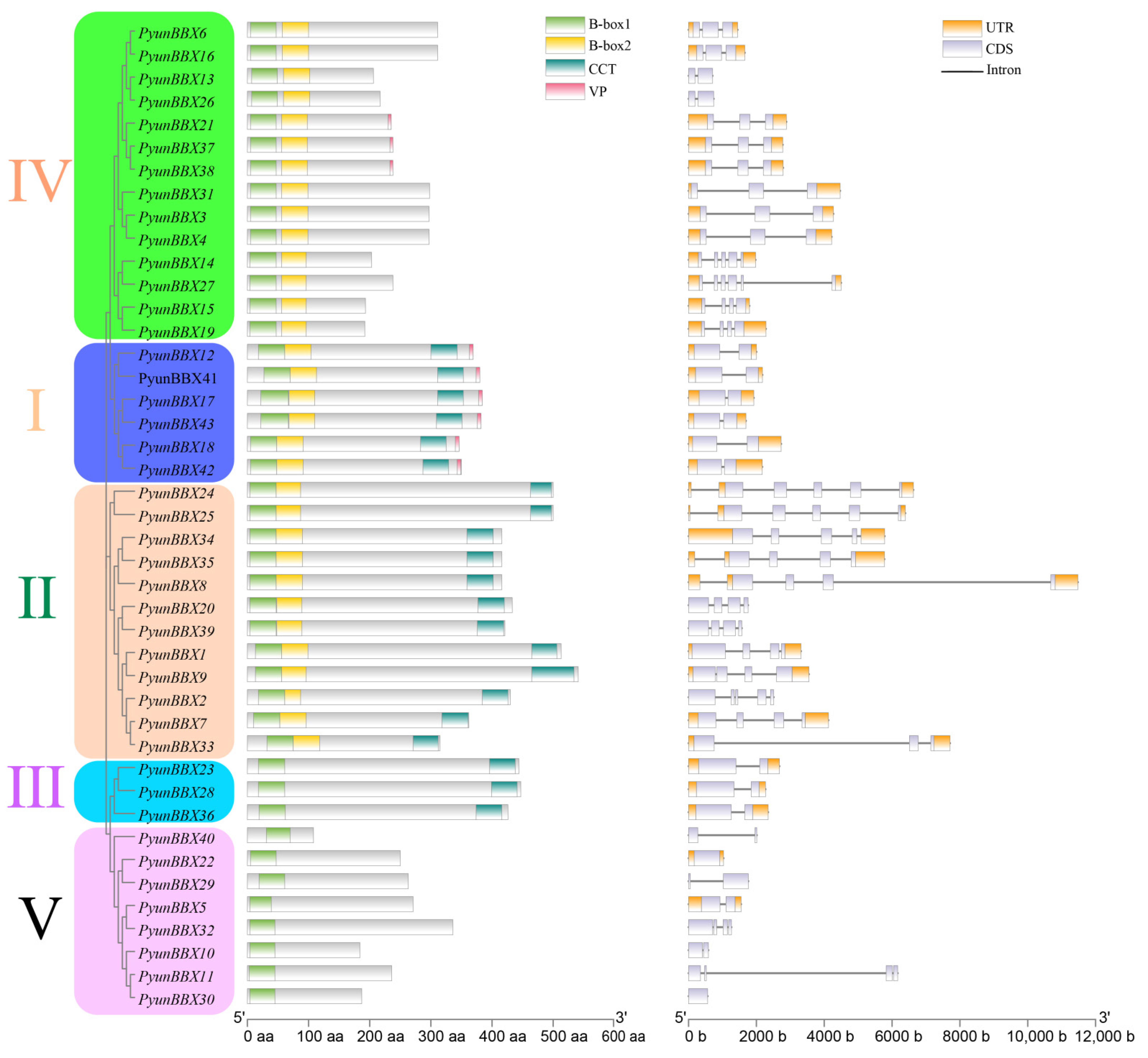 Genes 13 01811 g003 Genes 13 01811 g003