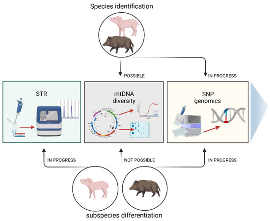 Genes, Free Full-Text