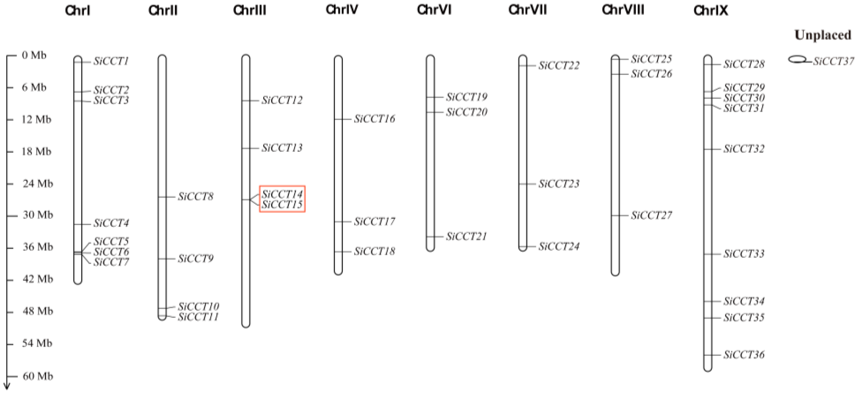 Genes 13 01829 g001 Genes 13 01829 g001