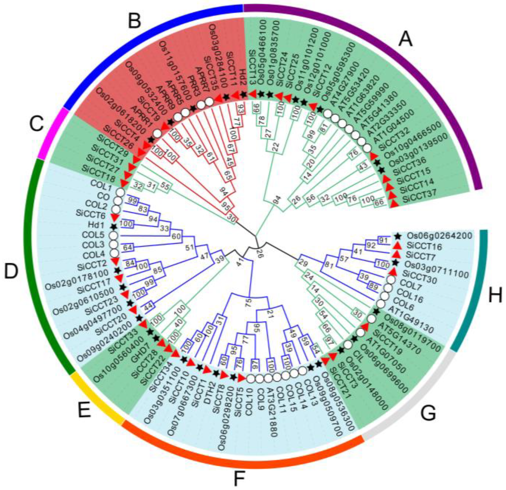 Genes 13 01829 g002 Genes 13 01829 g002