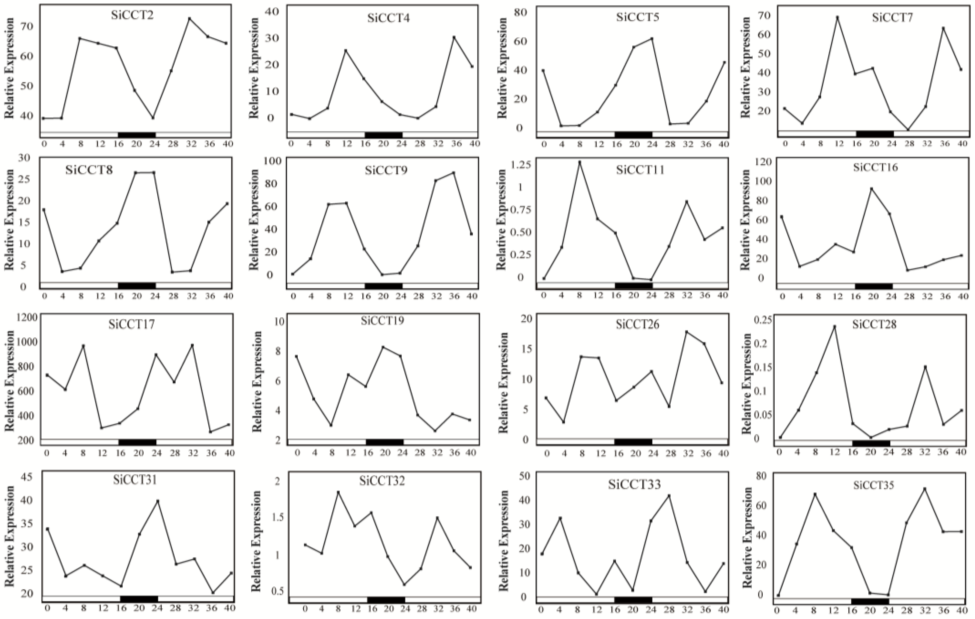 Genes 13 01829 g007 Genes 13 01829 g007