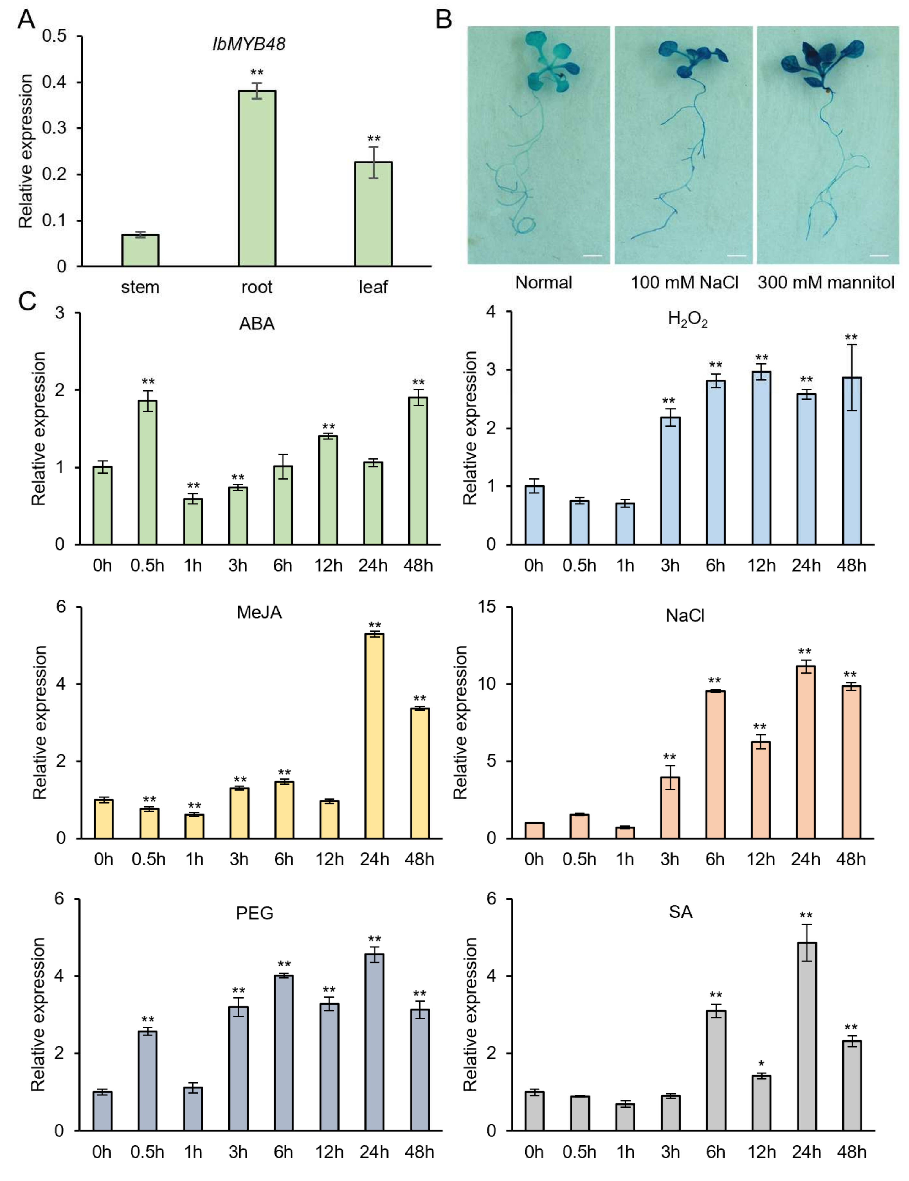 Genes 13 01883 g002 Genes 13 01883 g002