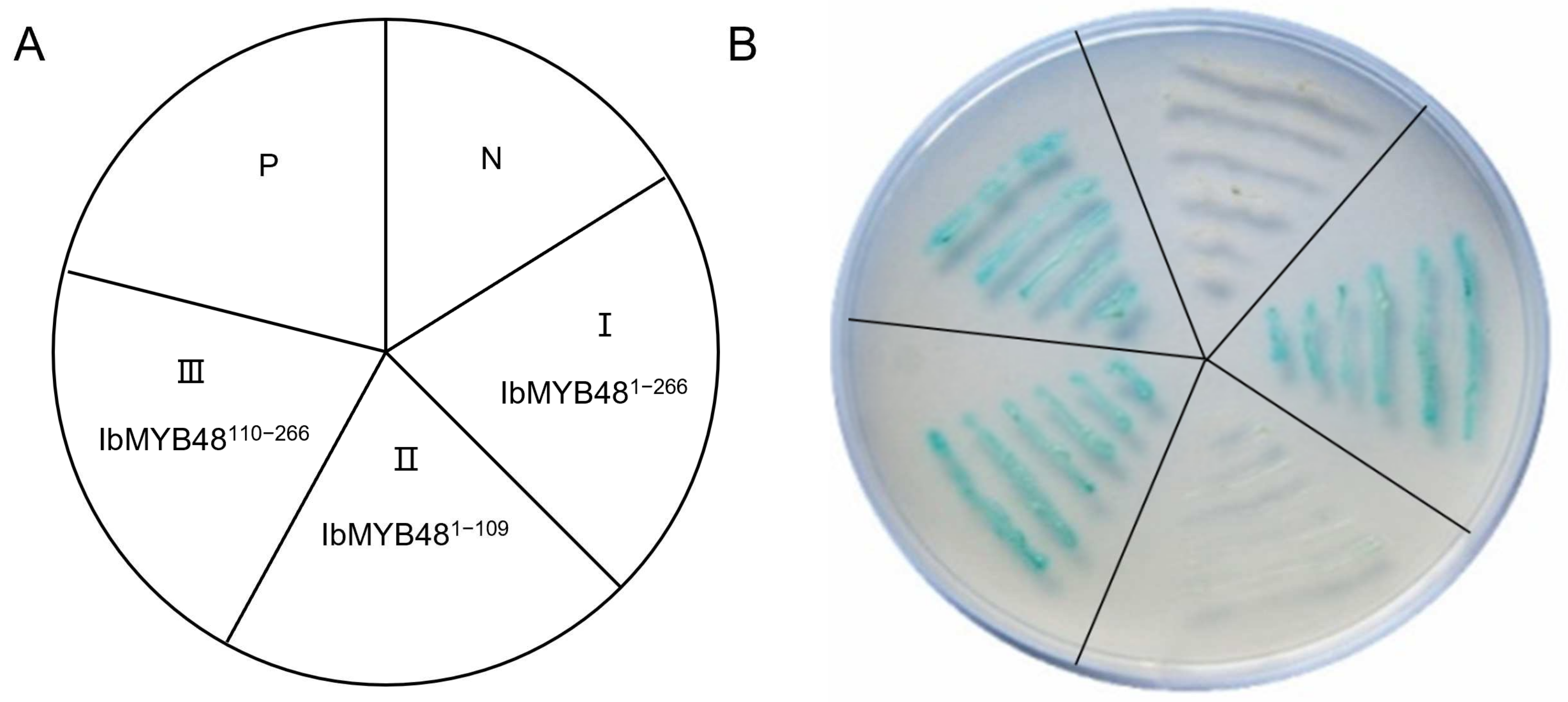 Genes 13 01883 g004 Genes 13 01883 g004