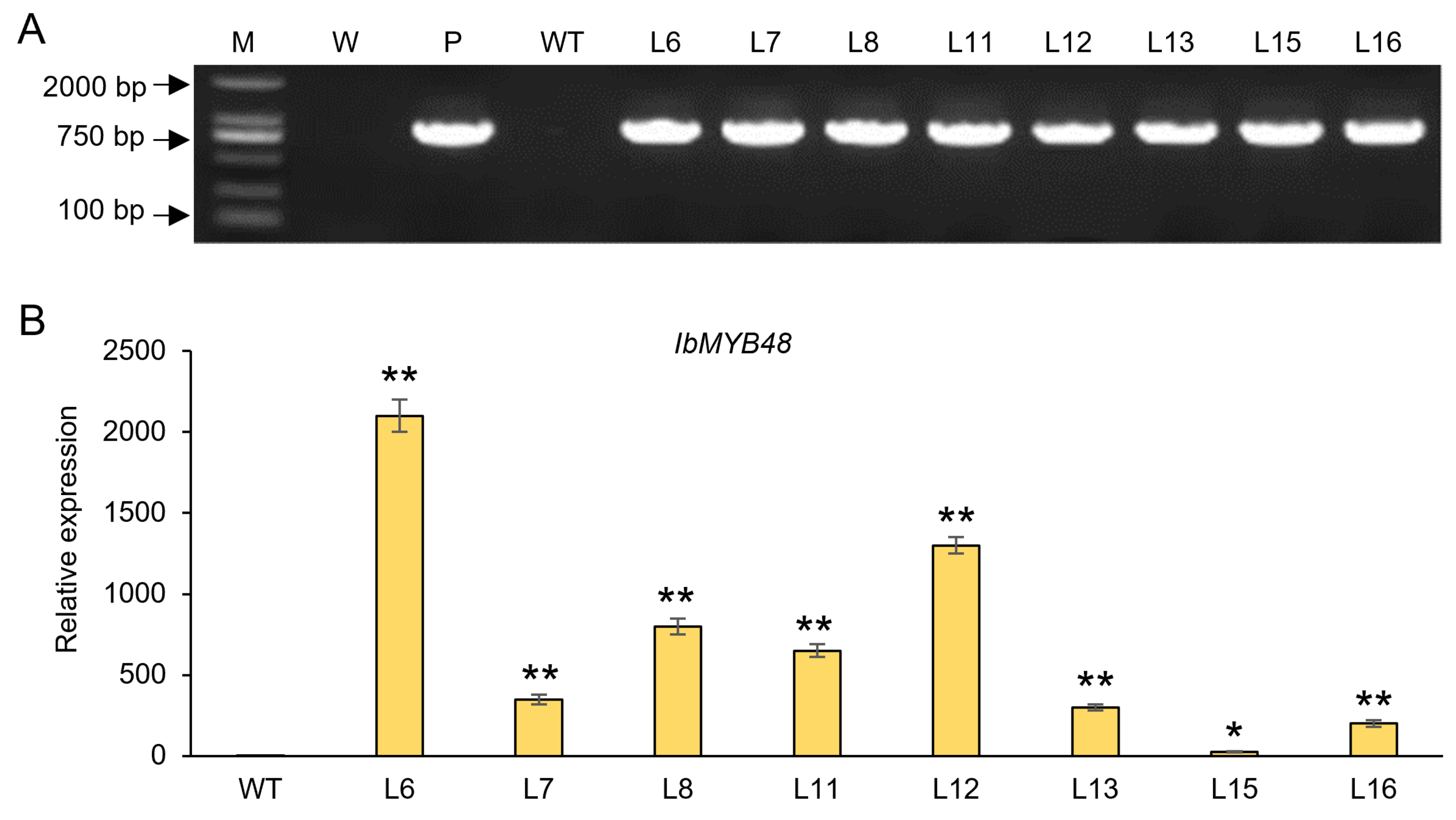 Genes 13 01883 g005 Genes 13 01883 g005