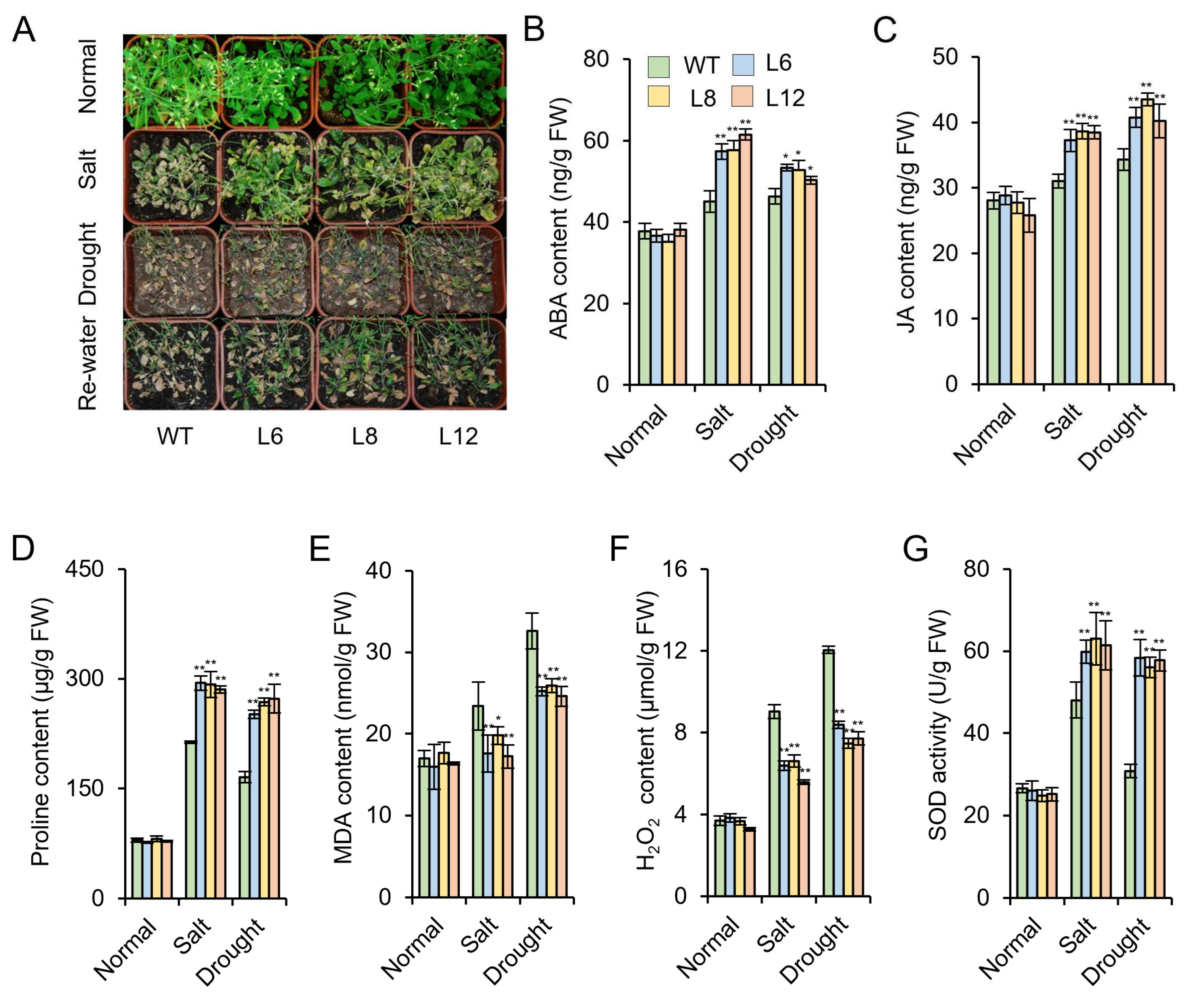 Genes 13 01883 g007 Genes 13 01883 g007