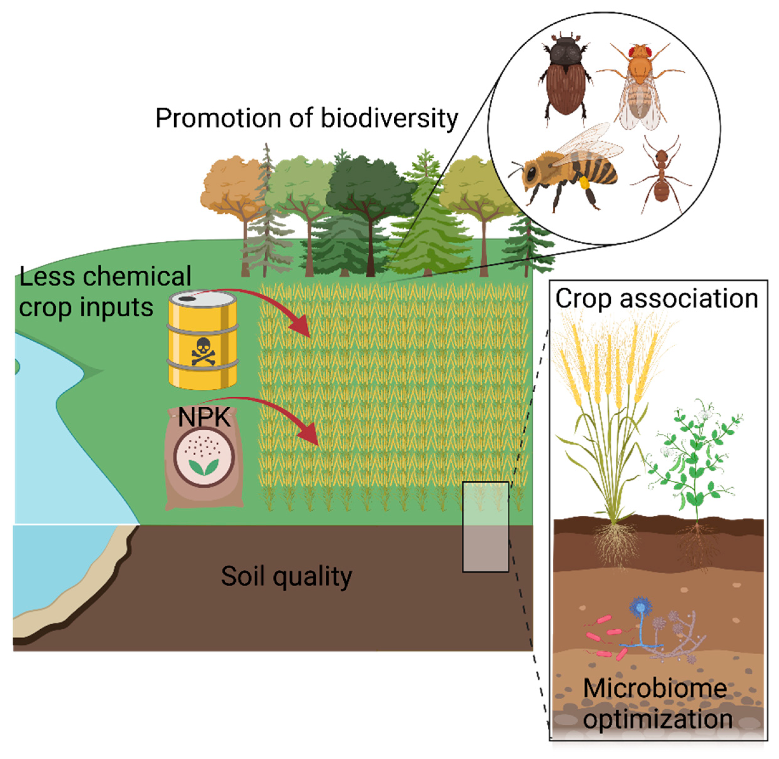 Genes 13 01886 g002 Genes 13 01886 g002