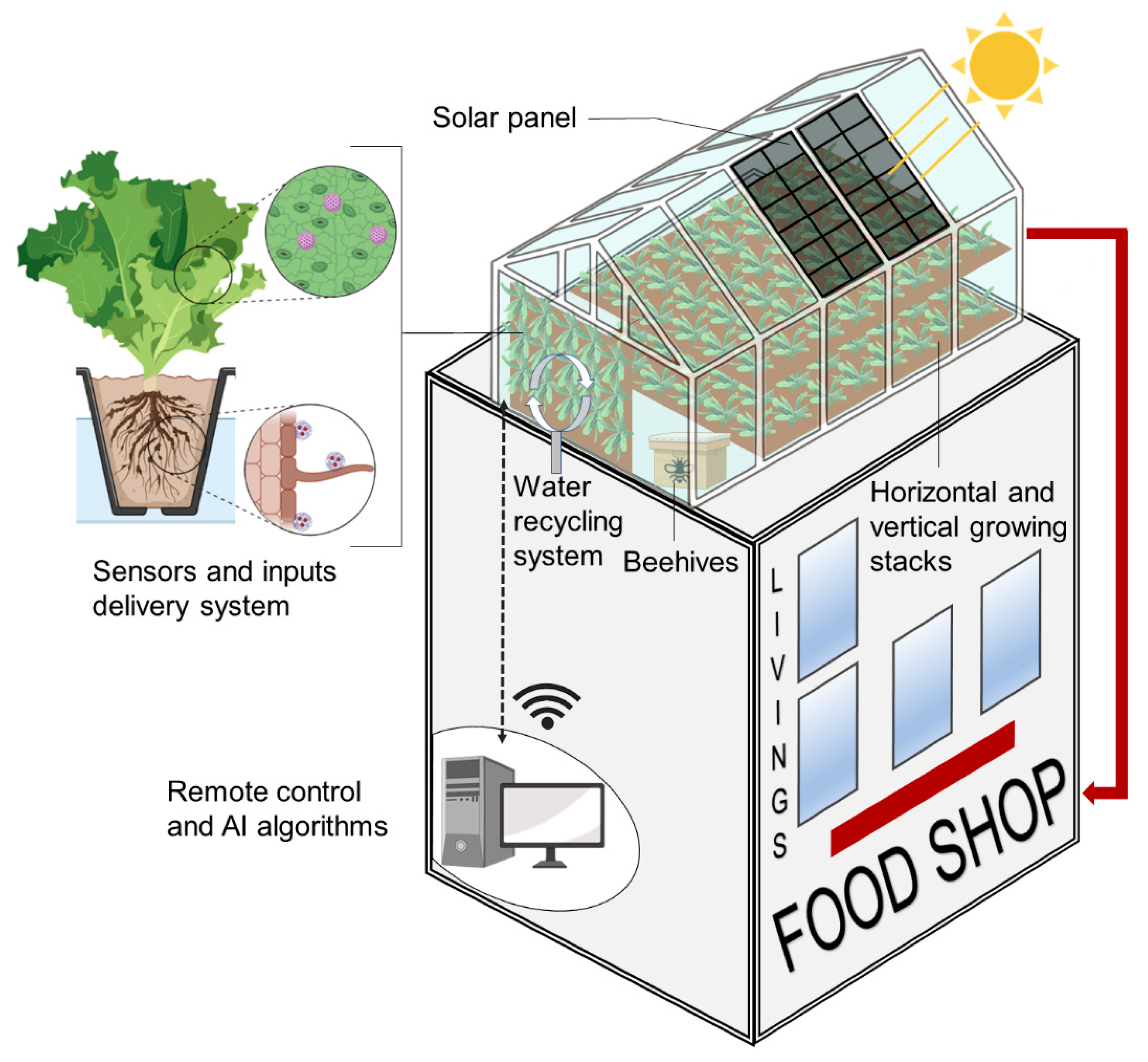 Genes 13 01886 g003 Genes 13 01886 g003