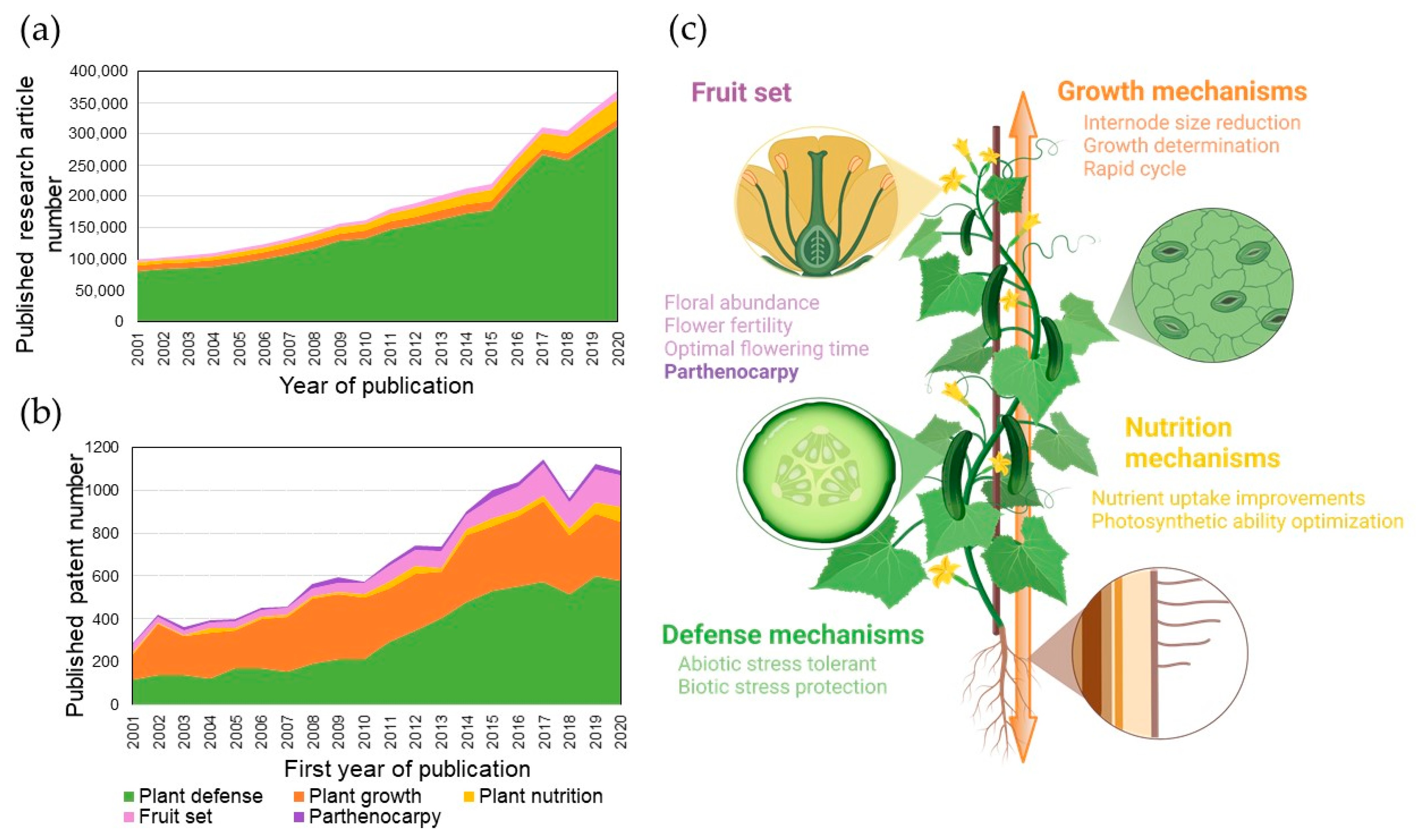 Genes 13 01886 g004 Genes 13 01886 g004