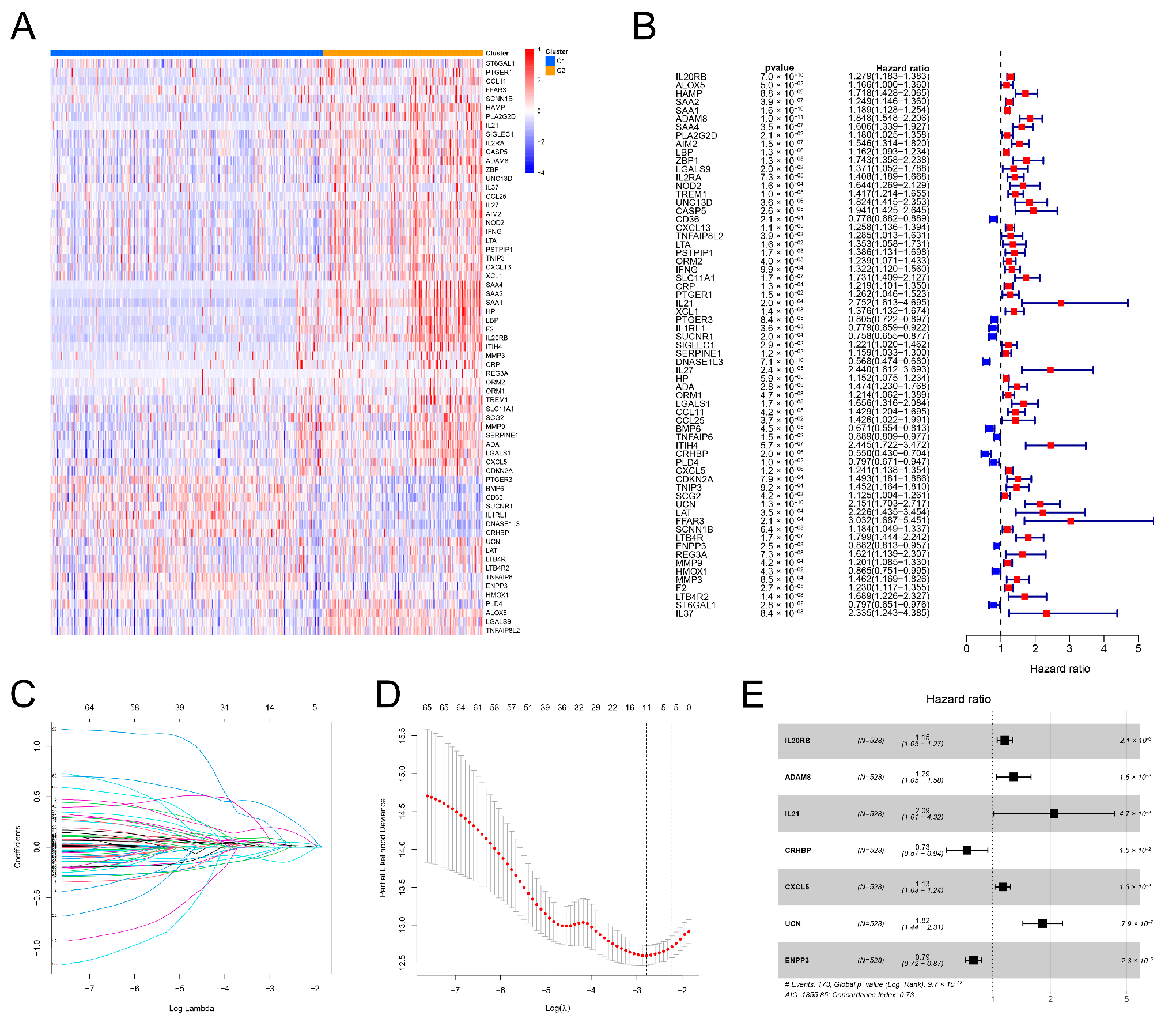 Genes 13 01897 g004 Genes 13 01897 g004