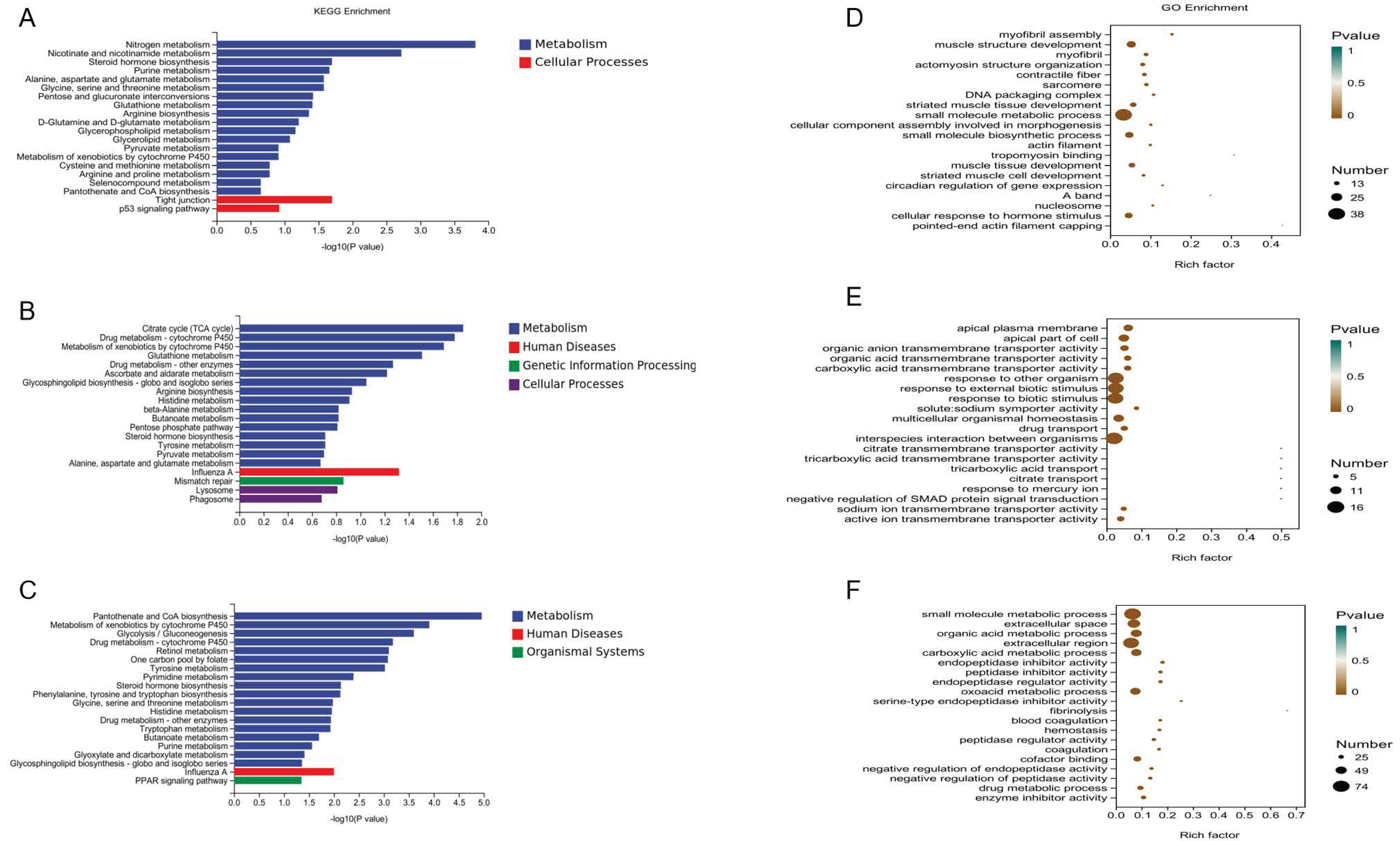 Genes 13 01898 g002