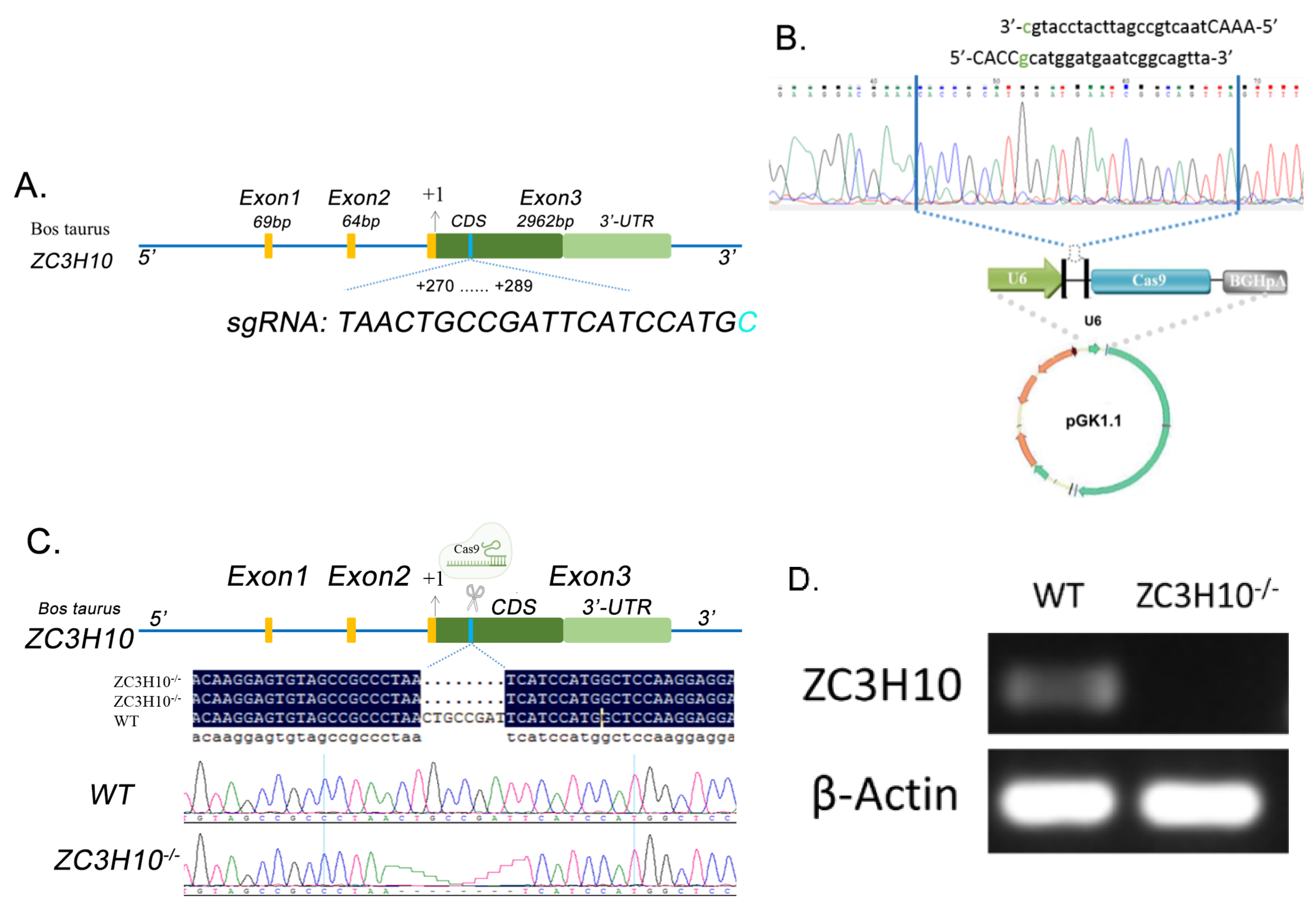 Genes 13 01910 g003 Genes 13 01910 g003
