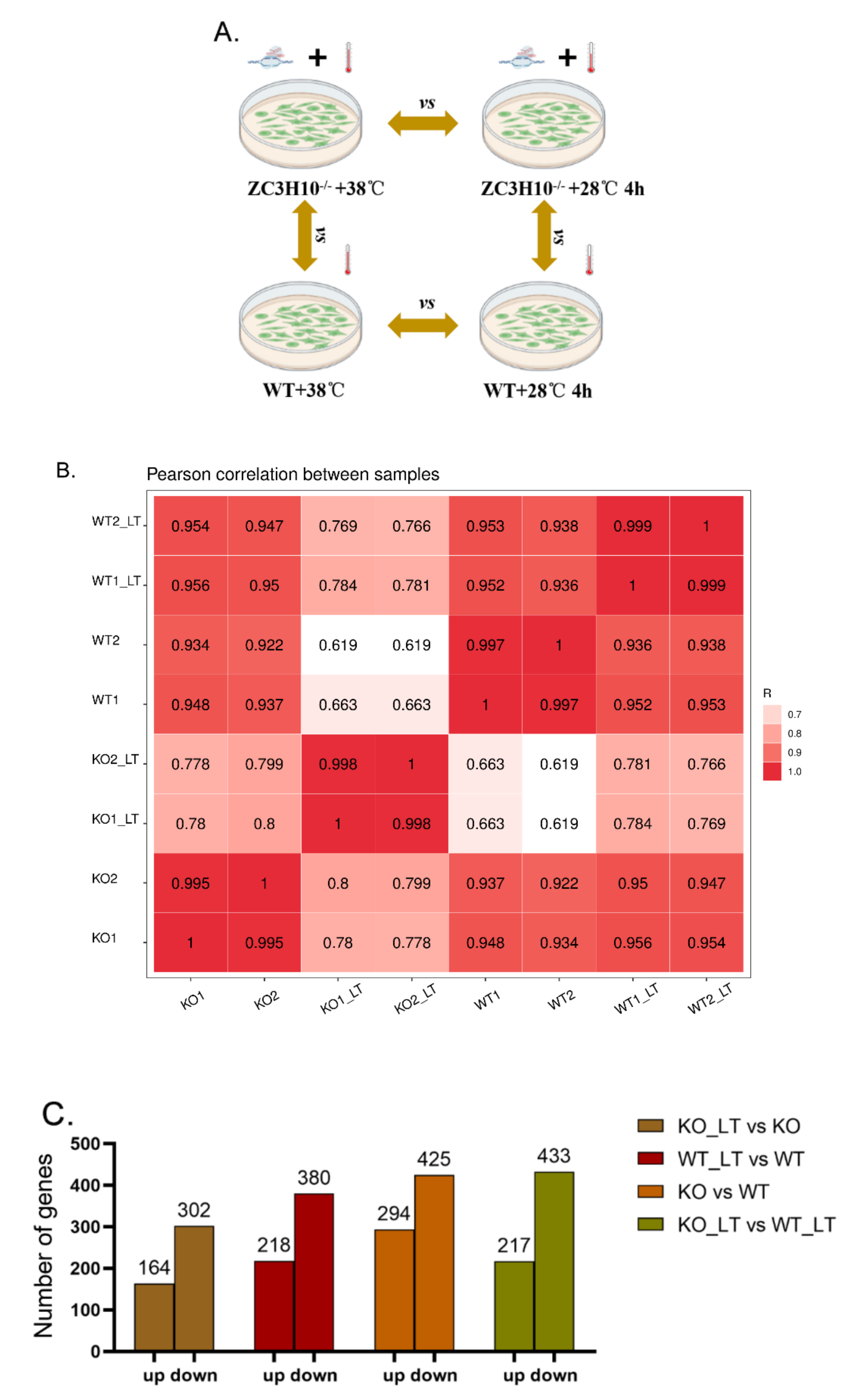 Genes 13 01910 g004 Genes 13 01910 g004