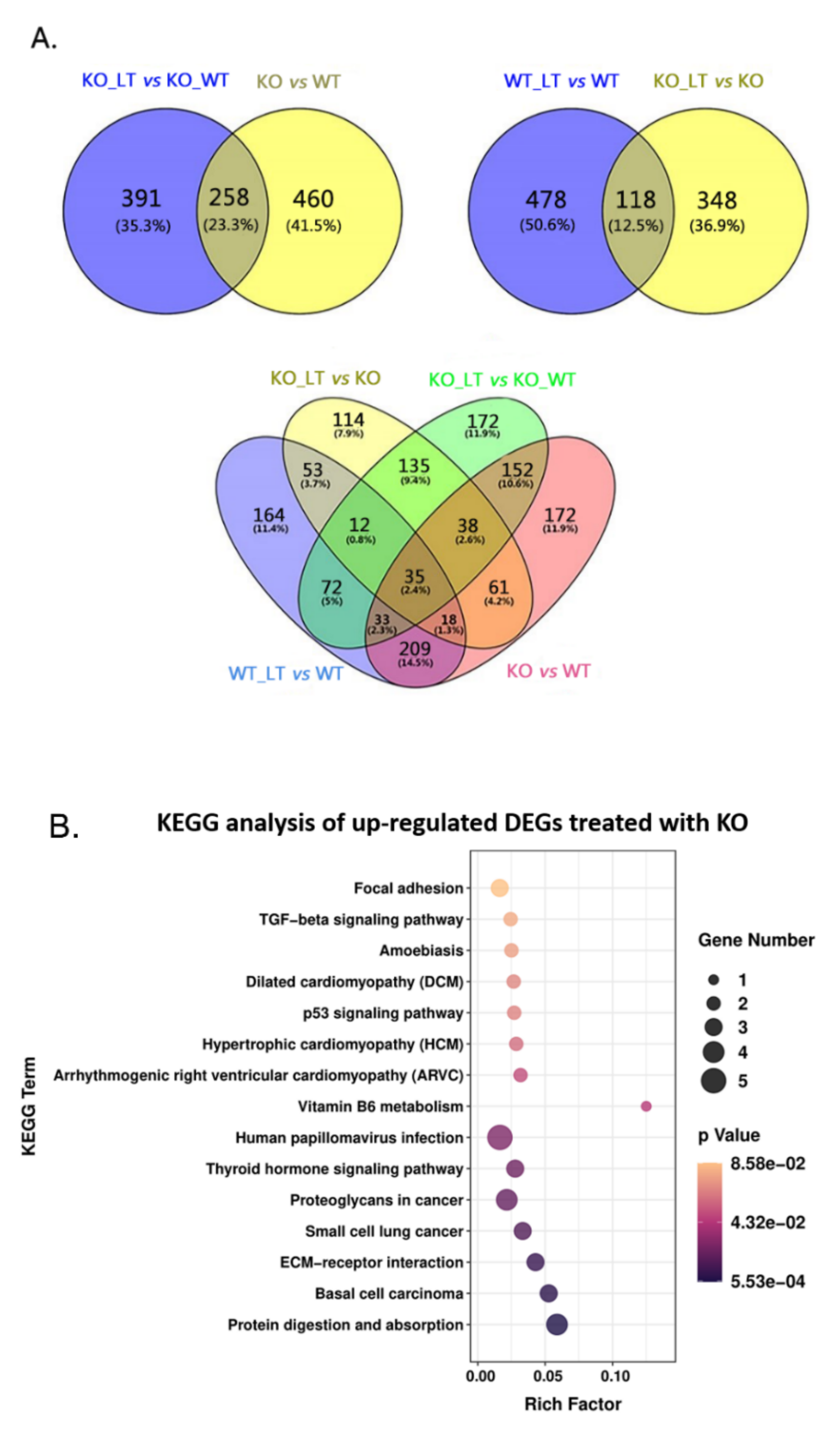 Genes 13 01910 g005a Genes 13 01910 g005a