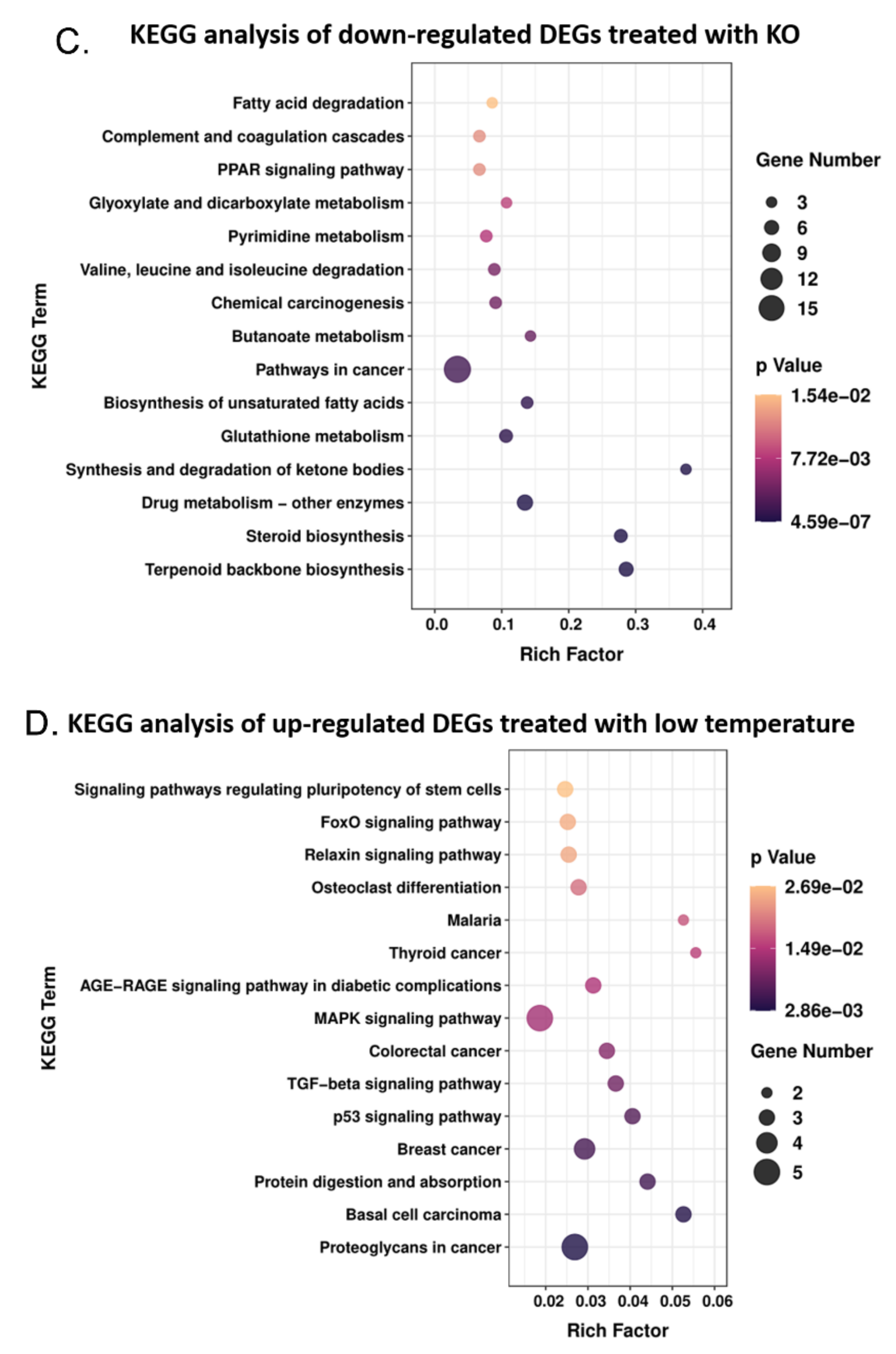Genes 13 01910 g005b Genes 13 01910 g005b