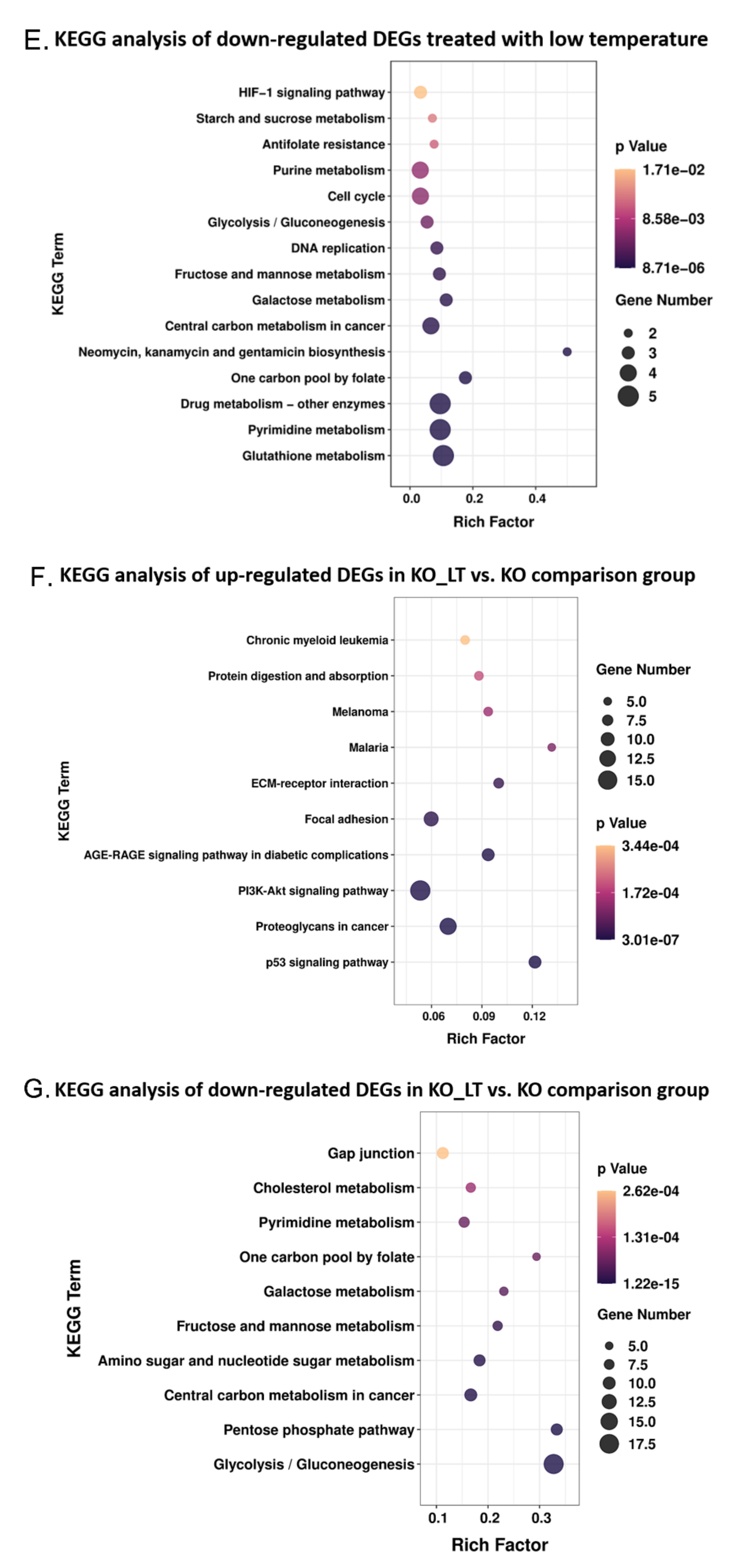 Genes 13 01910 g005c Genes 13 01910 g005c