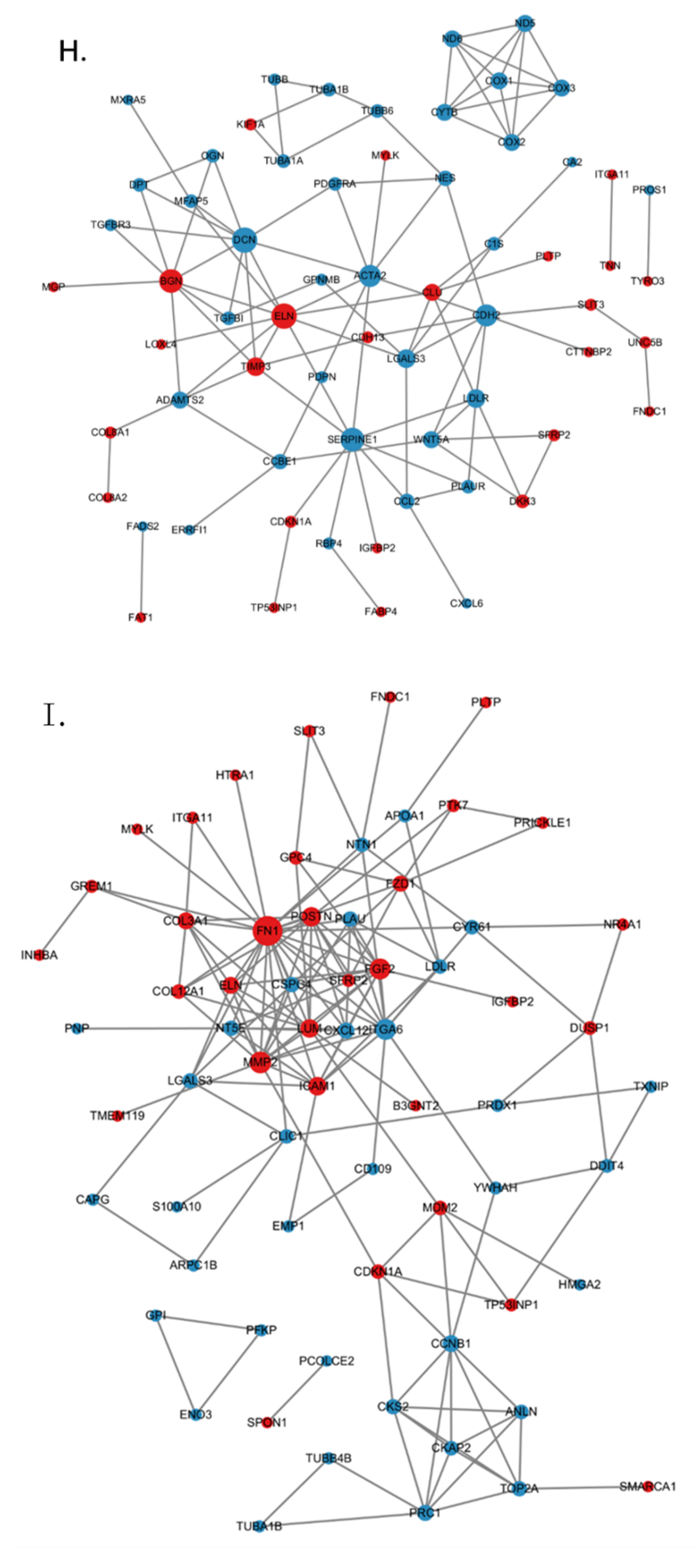 Genes 13 01910 g005d Genes 13 01910 g005d