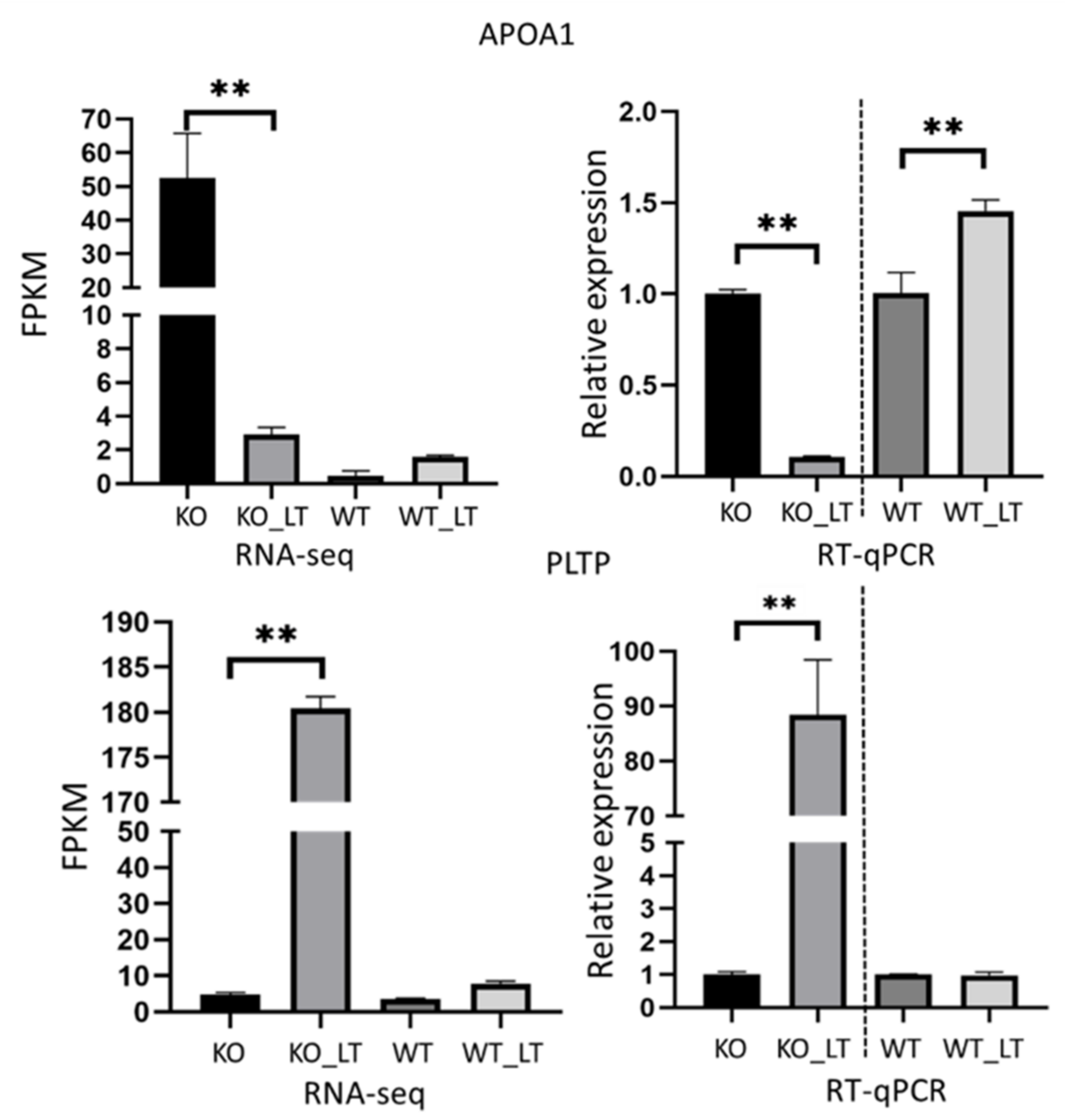 Genes 13 01910 g006 Genes 13 01910 g006