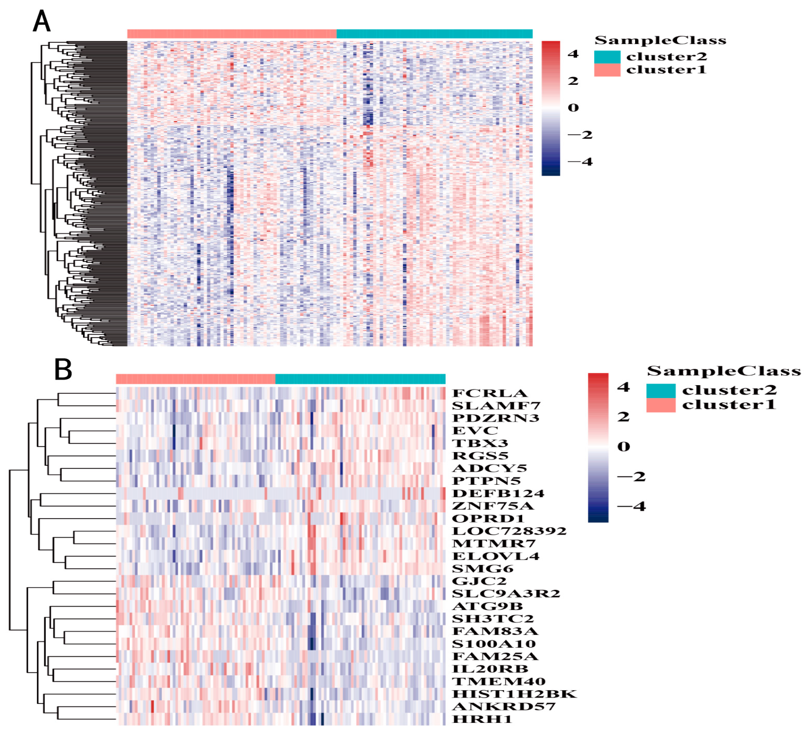 Genes 13 01913 g004