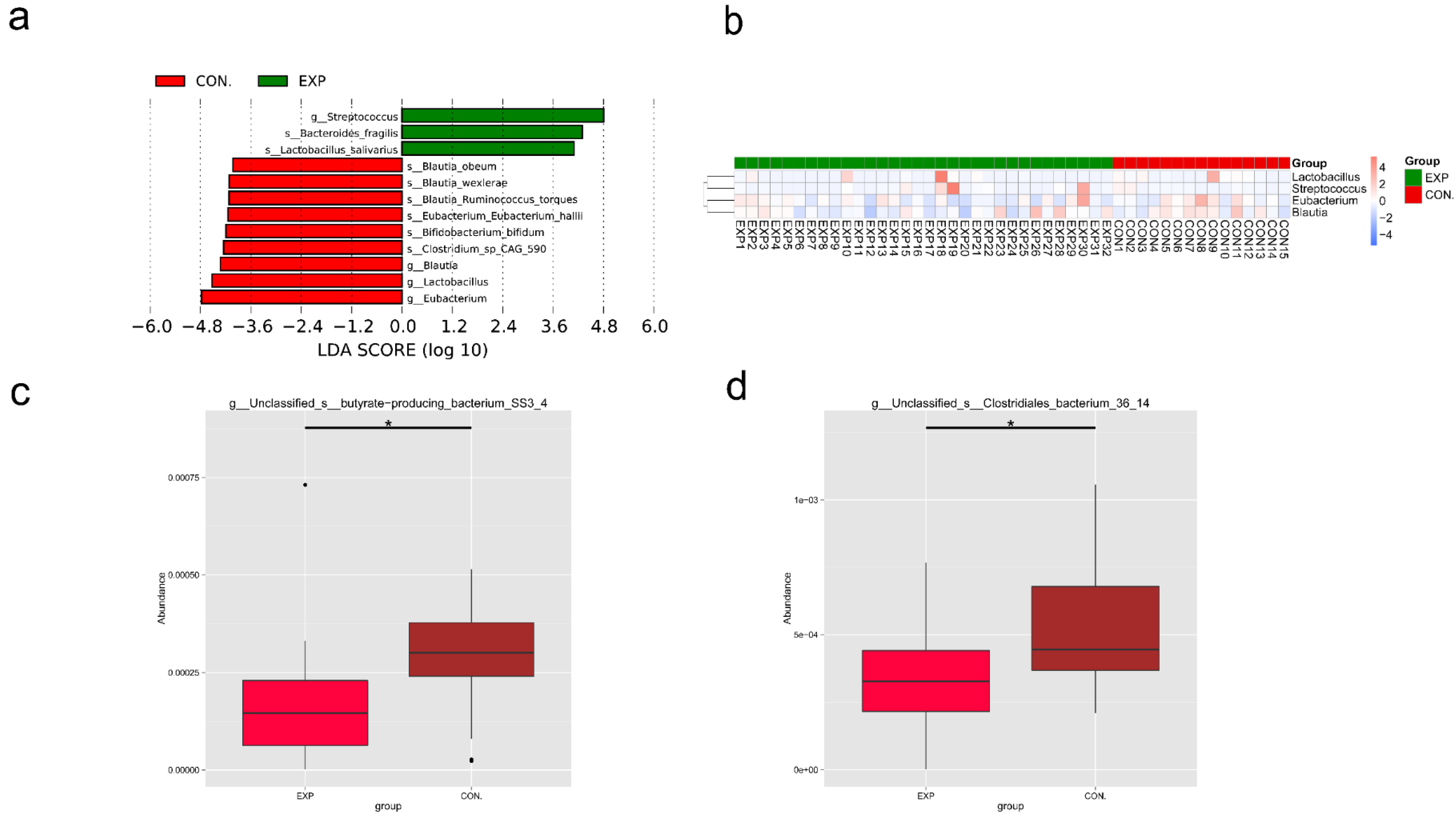 Genes 13 01967 g004 Genes 13 01967 g004