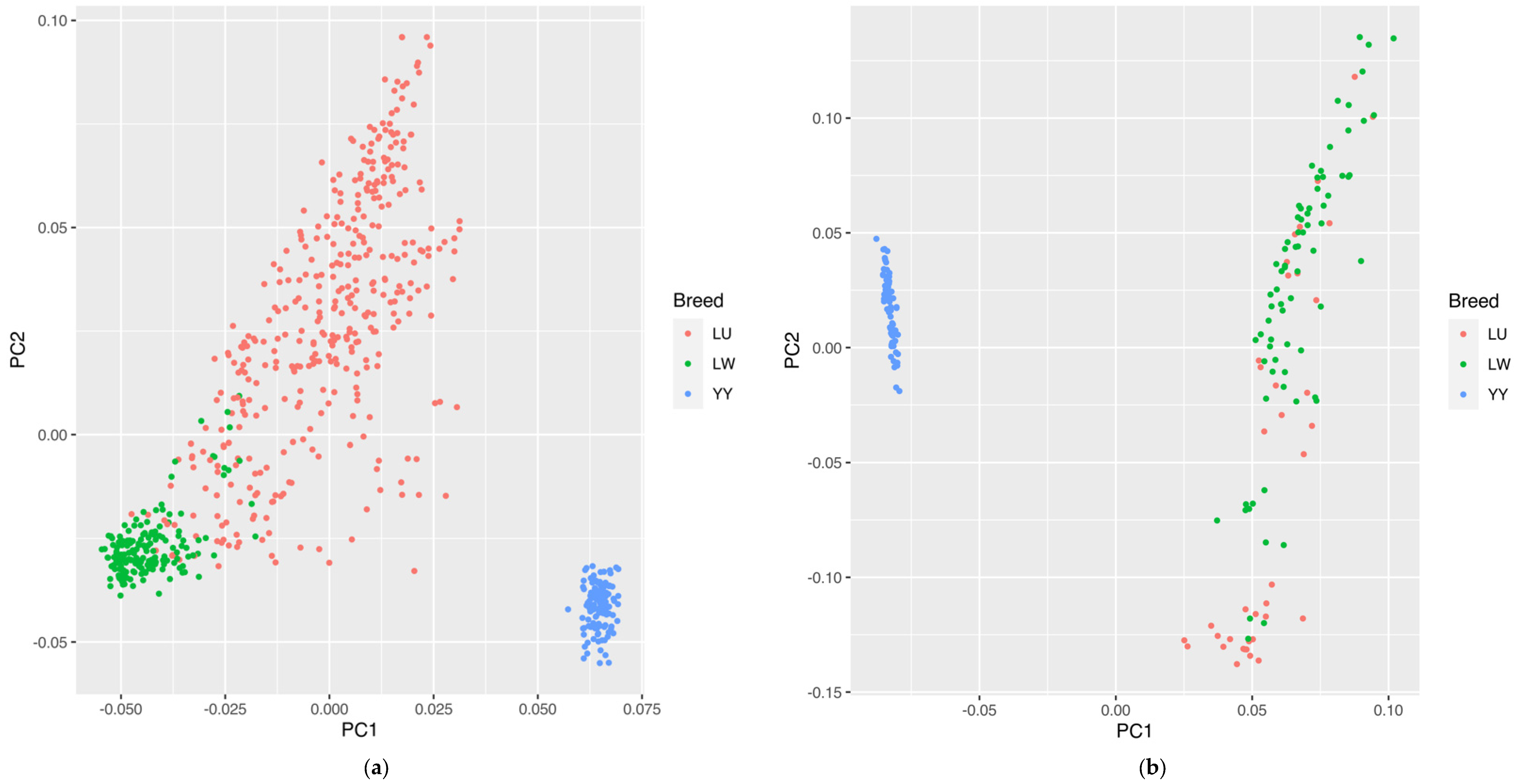 Genes 13 01969 g002 Genes 13 01969 g002