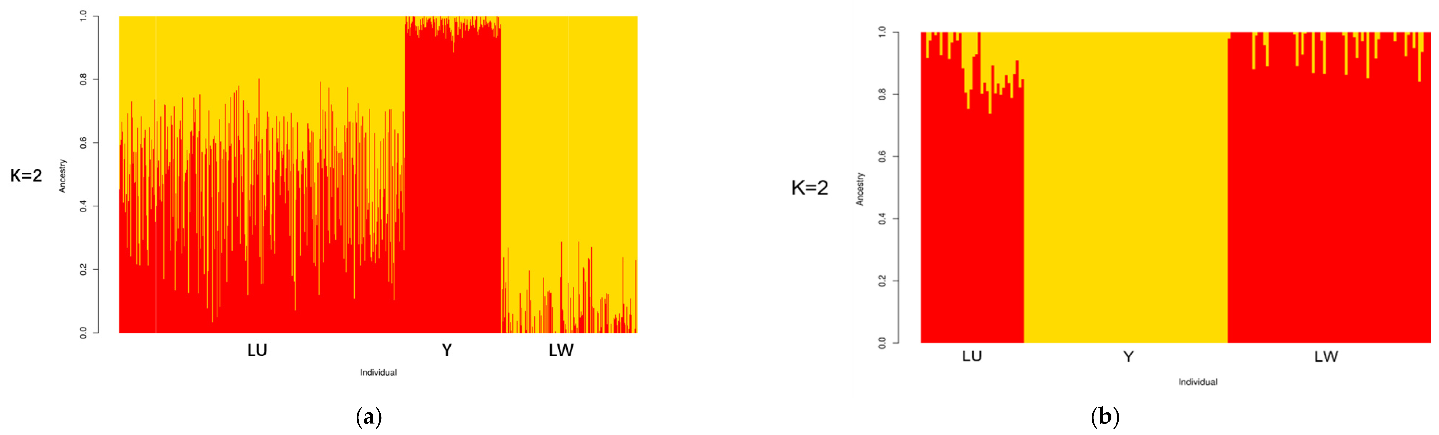 Genes 13 01969 g003 Genes 13 01969 g003