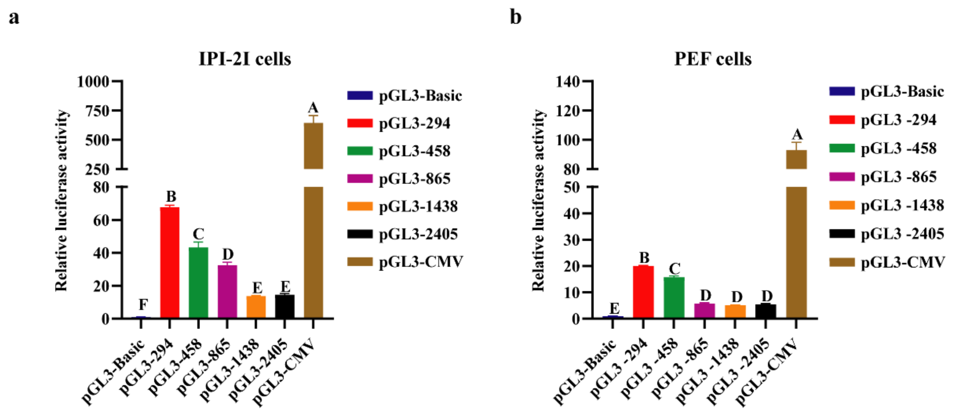 Genes 13 01971 g004