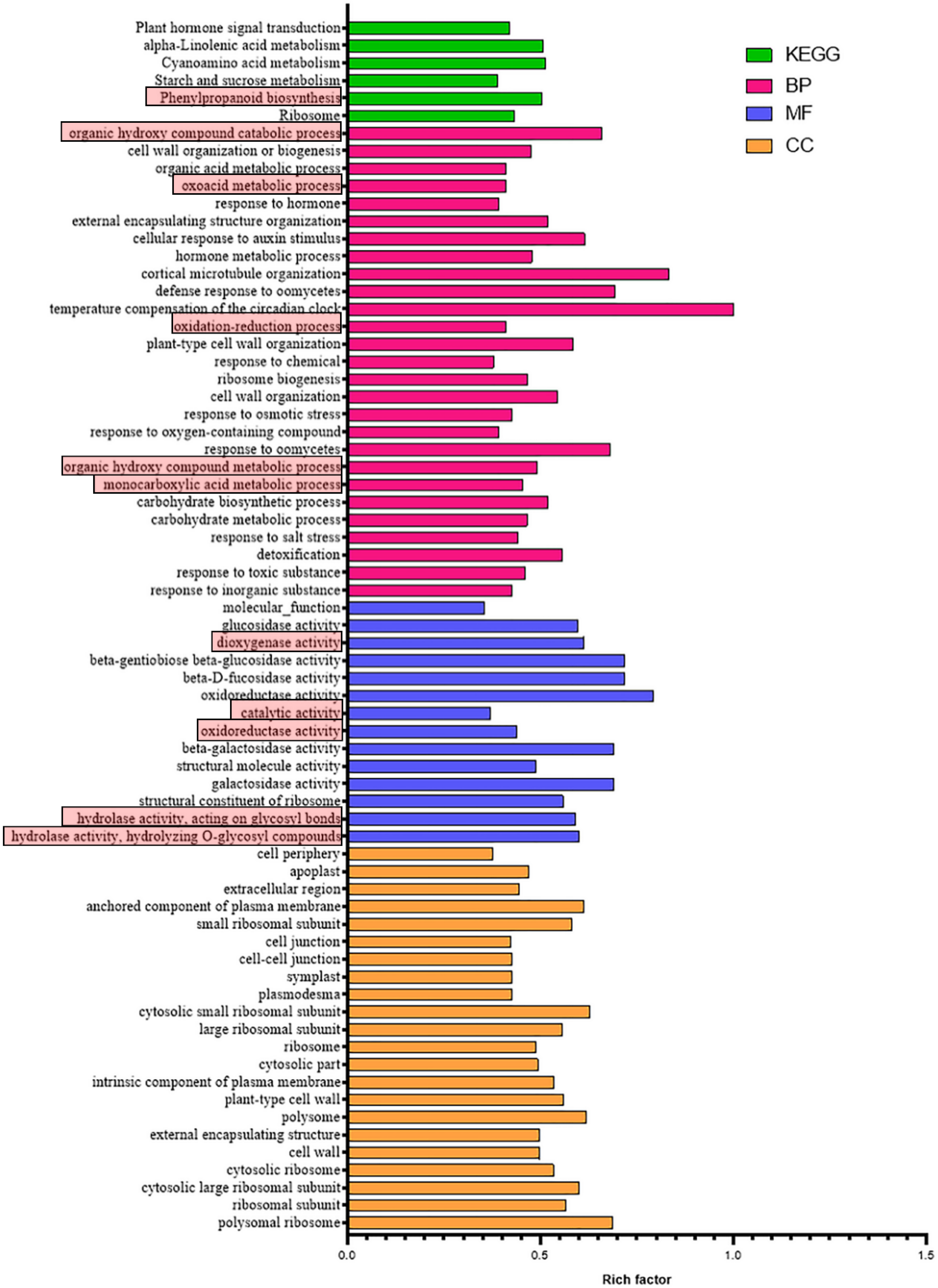 Genes 13 01993 g002