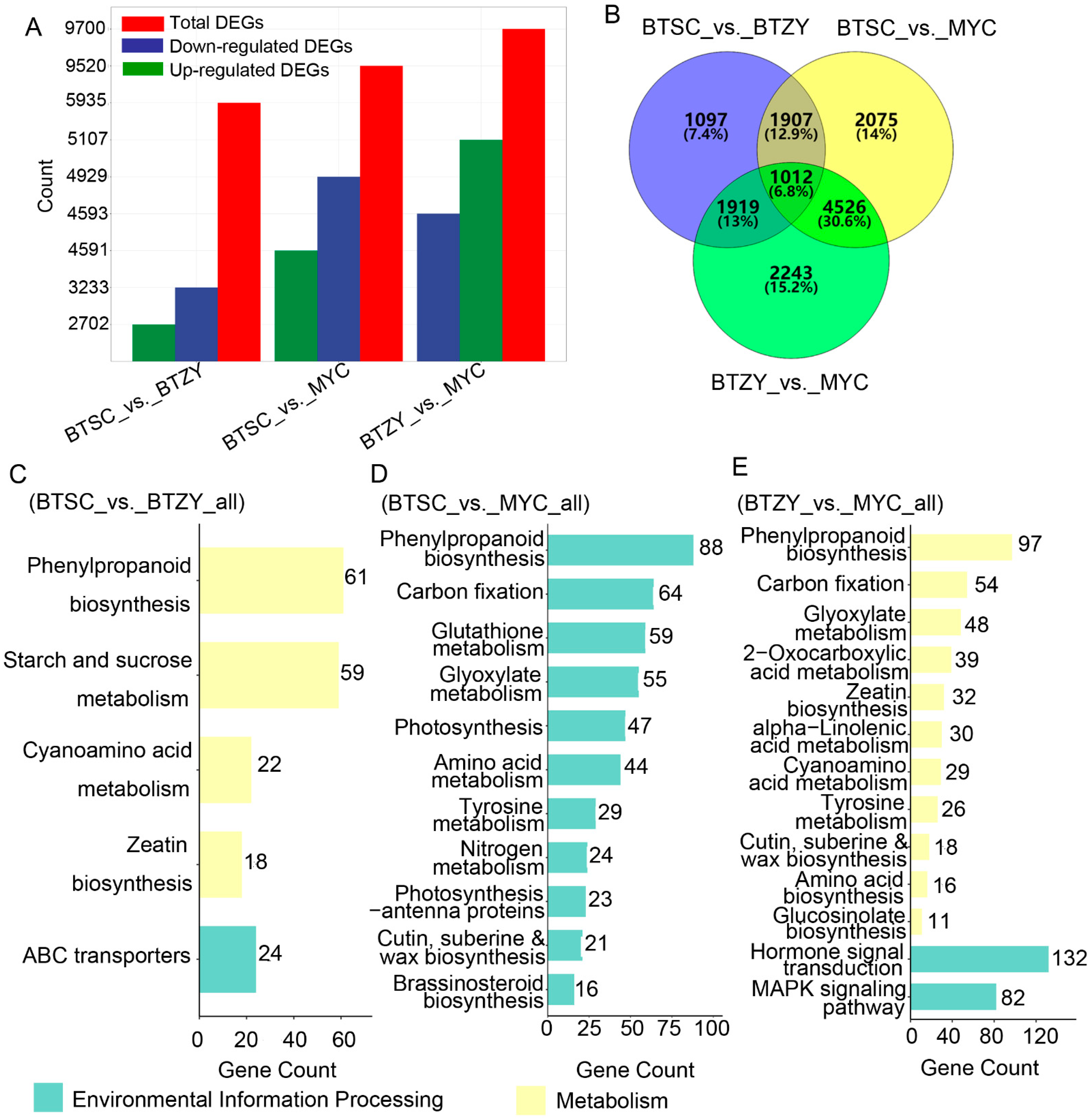 Genes 13 01994 g004